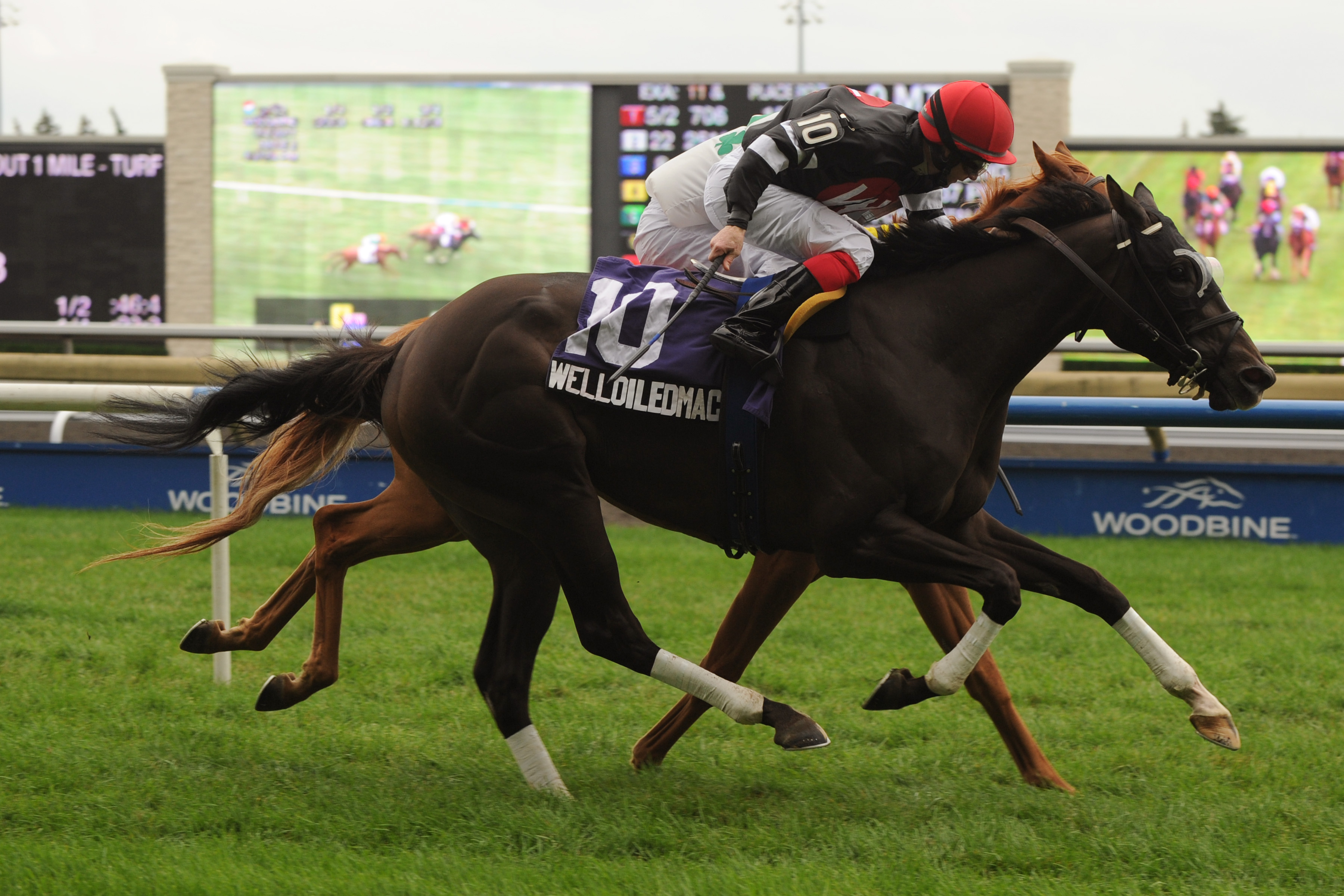 Welloiledmachine/Vice Regent