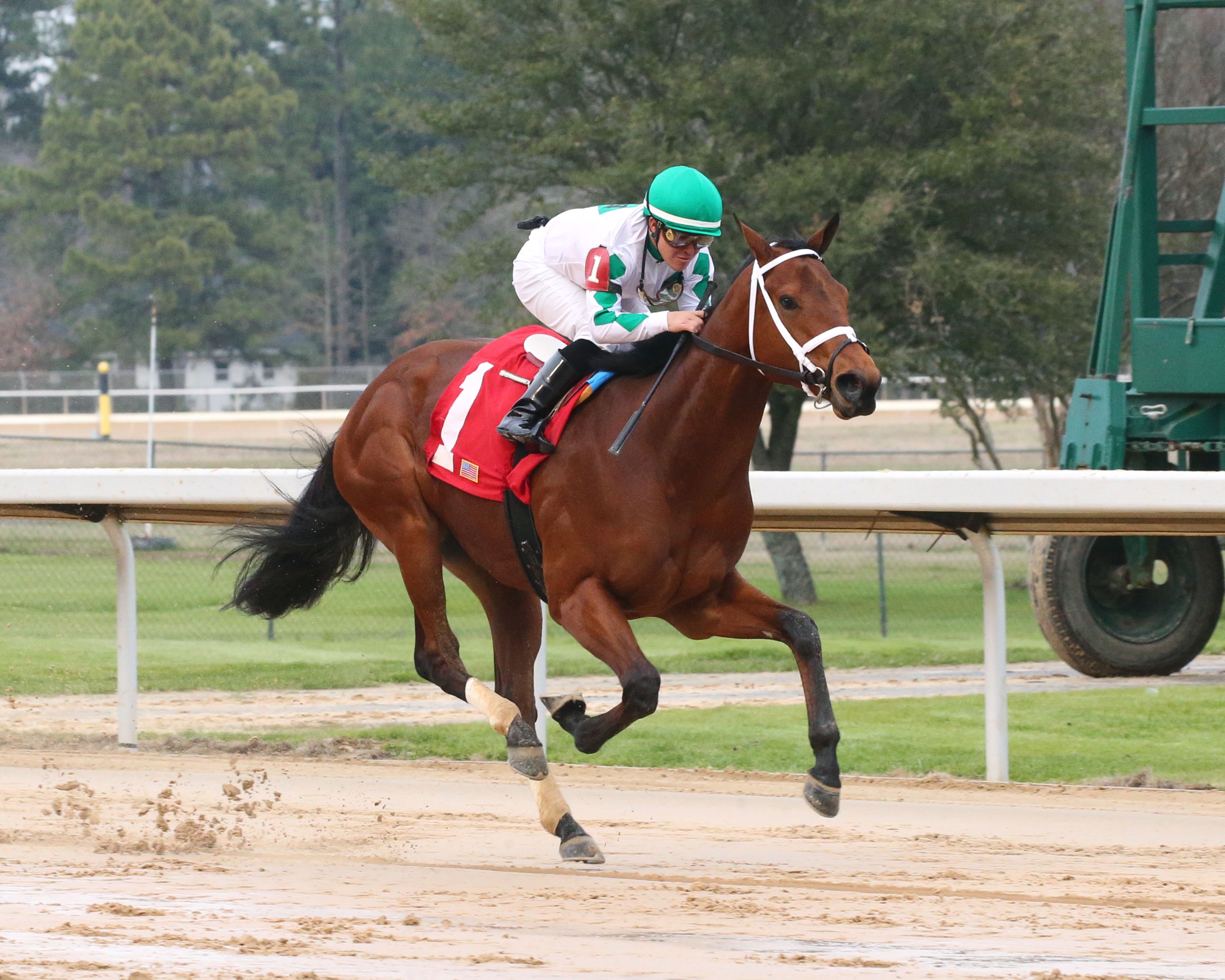 Wells Bayou wins an Oaklawn Park allowance on 1.26.20