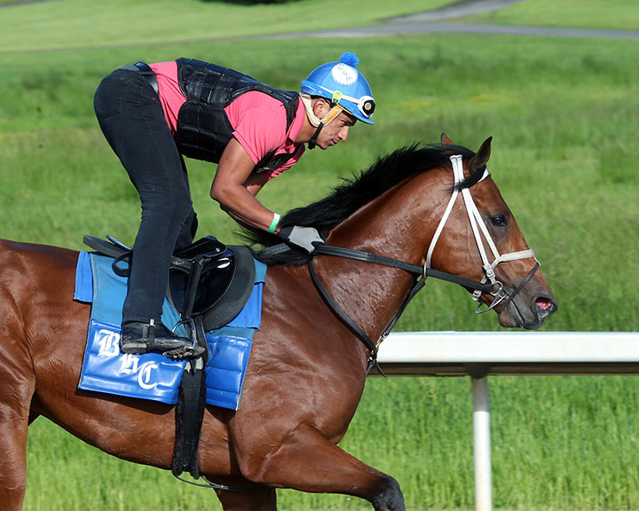 Wells Bayou trains at Oaklawn Park on April 29