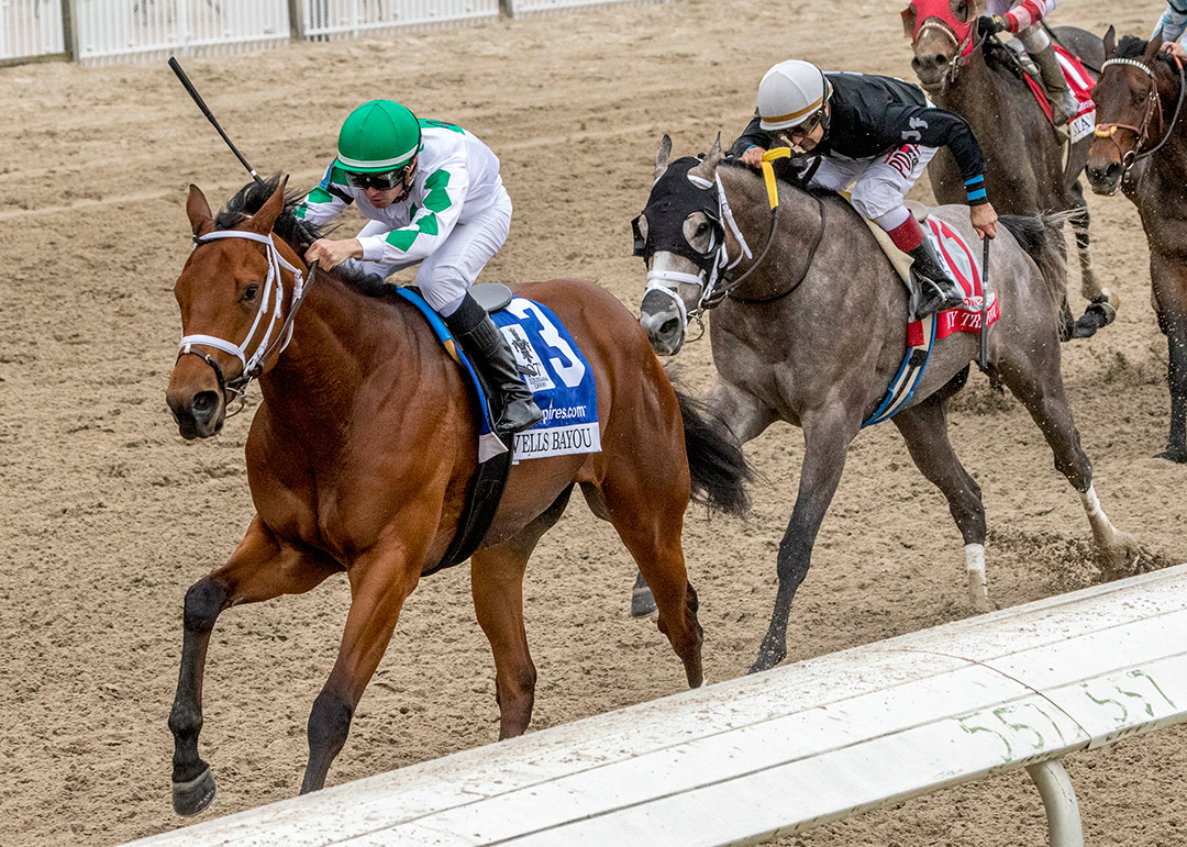 Wells Bayou wins the 2020 Louisiana Derby at Fair Grounds