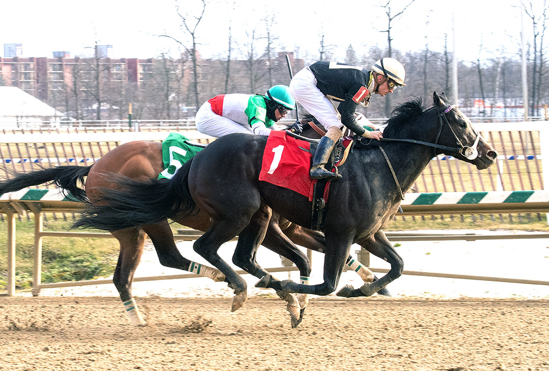 Wendell Fong wins Fire Plug at Laurel Park 1-16-2021