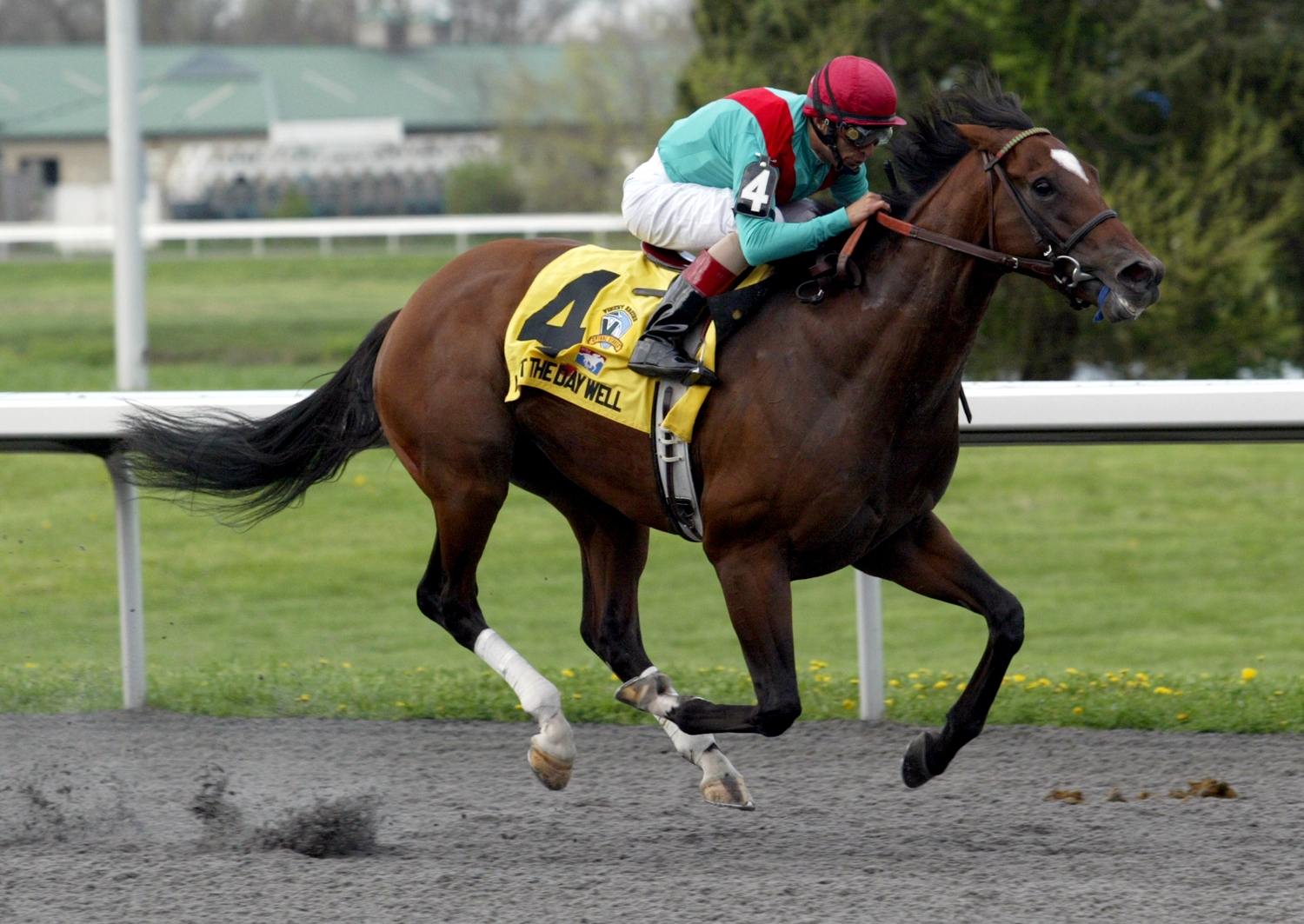 Went the Day Well, Spiral Stakes