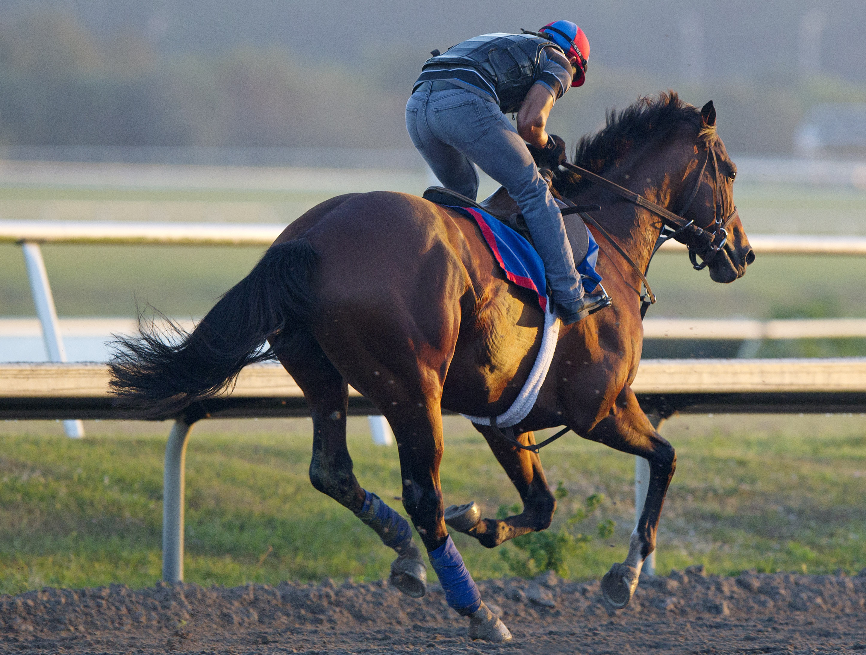 Went the Day Well trains at Gulfstream