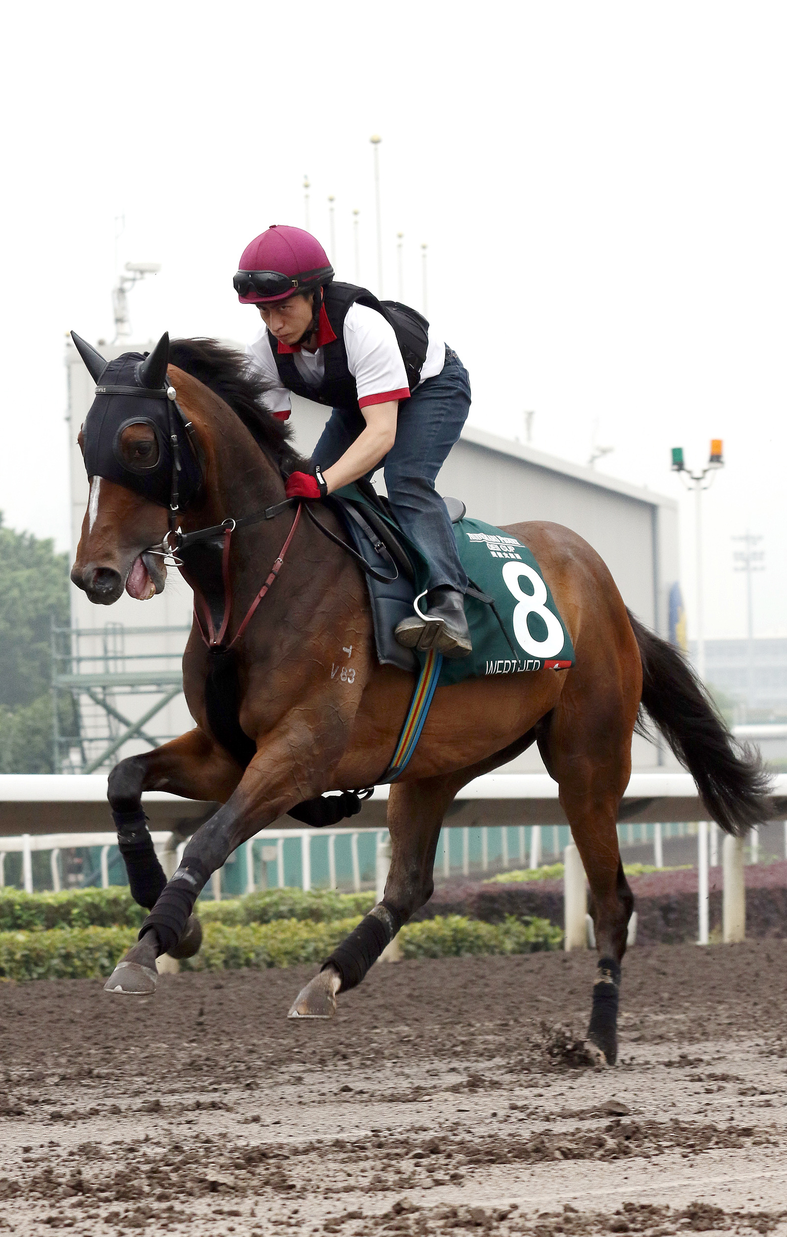 Werther trains at Sha Tin on April 26