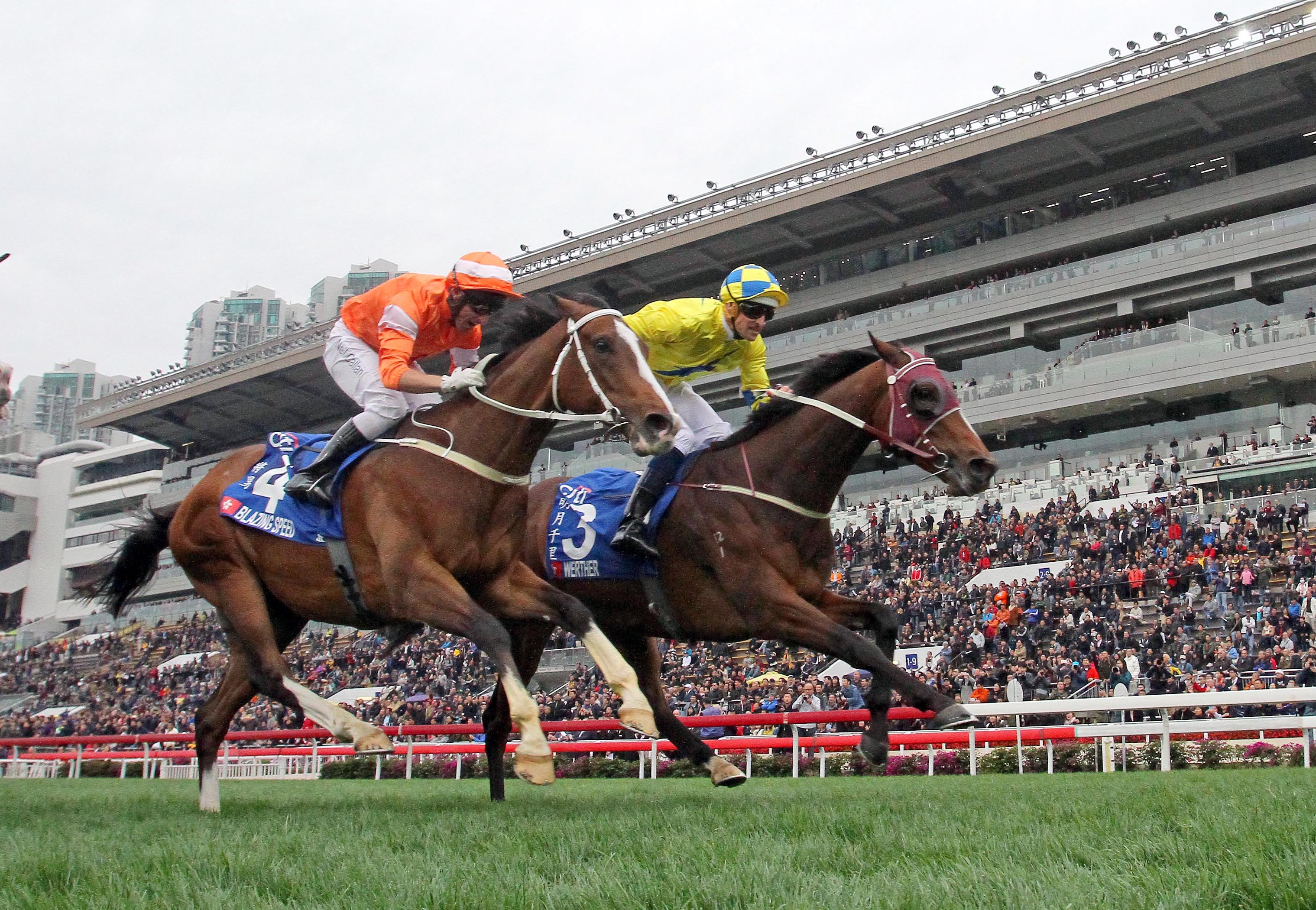 Werther wins the Hong Kong Gold Cup