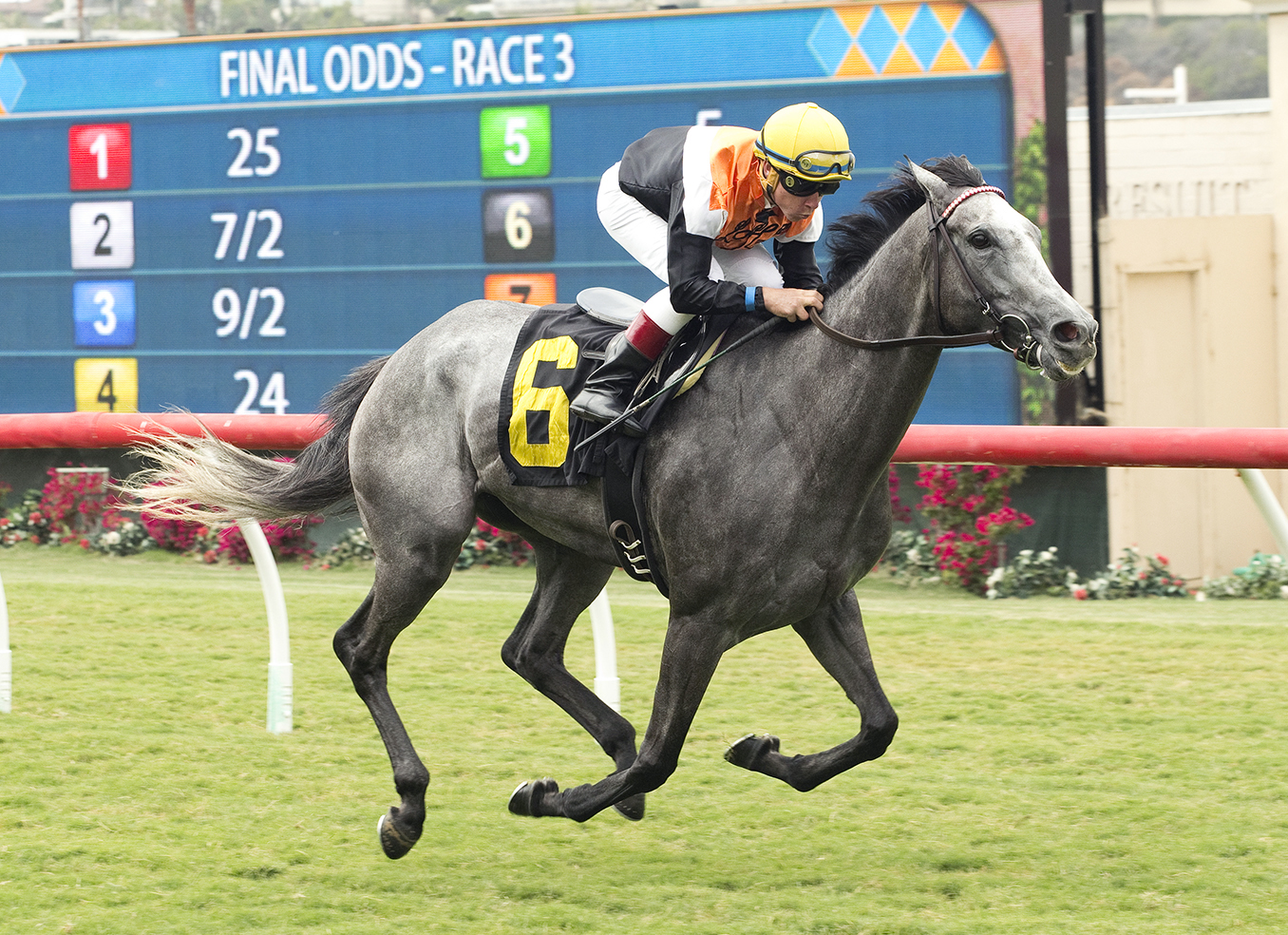 West Coast Bias wins an Aug. 3 maiden race