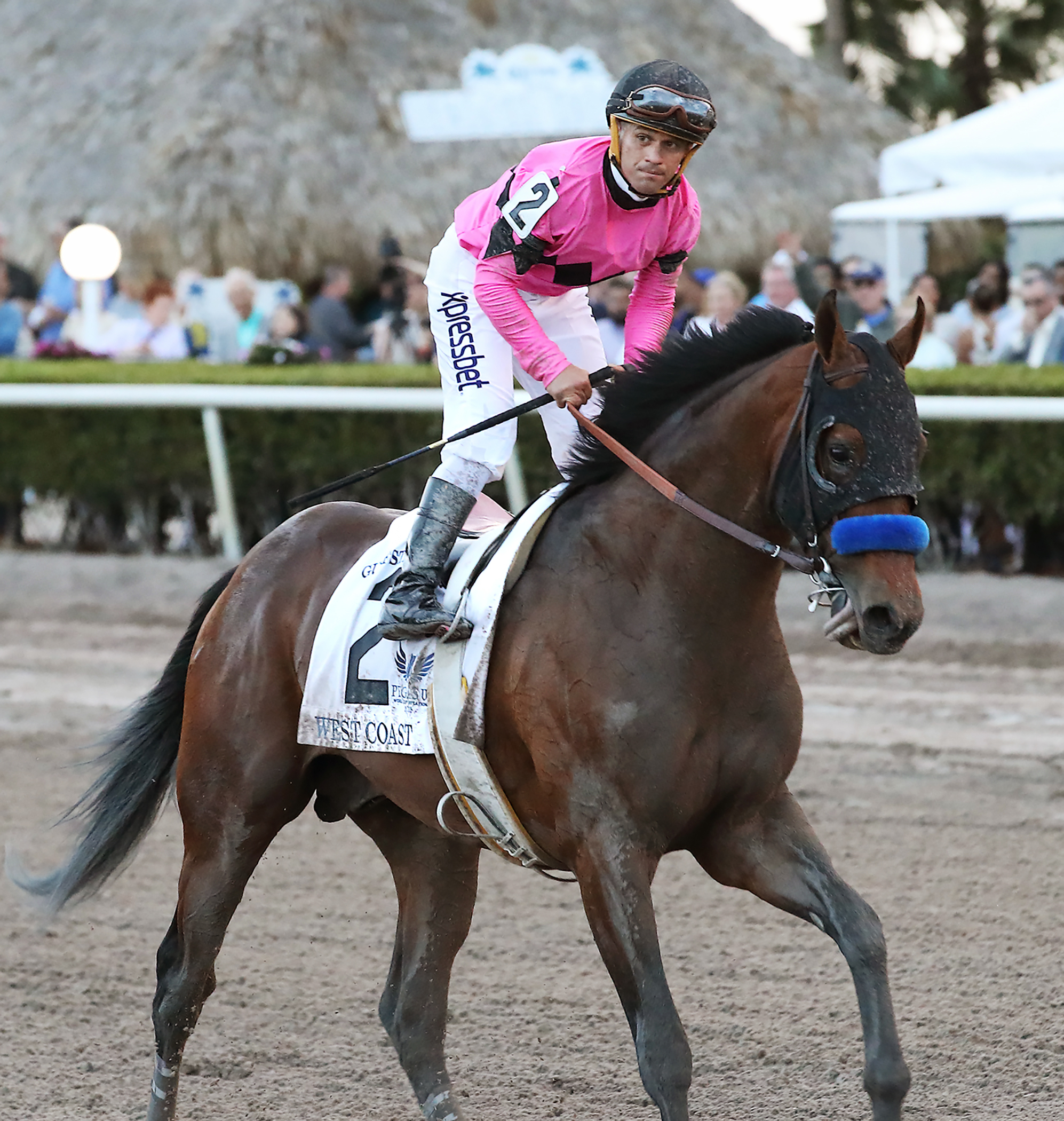 West Coast finishes second in the 2018 Pegasus Cup