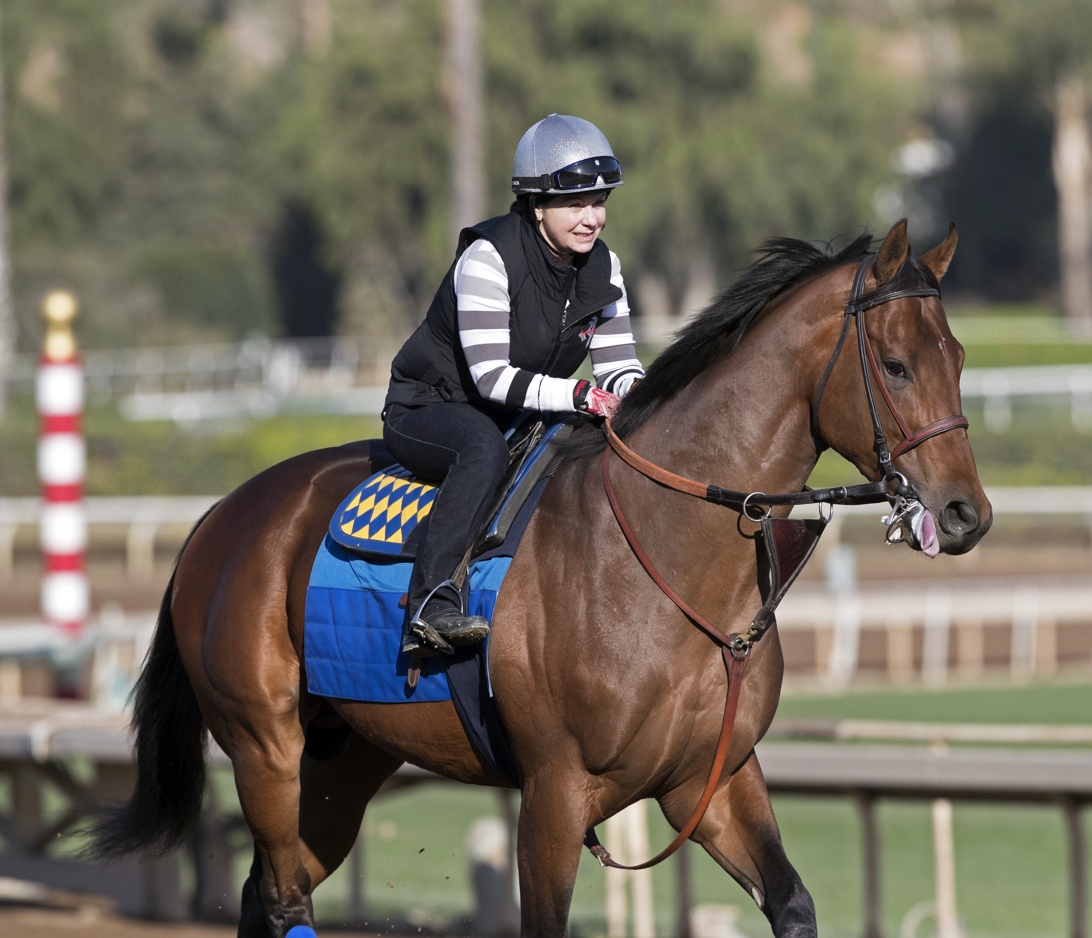 West Coast at Santa Anita on Jan. 1