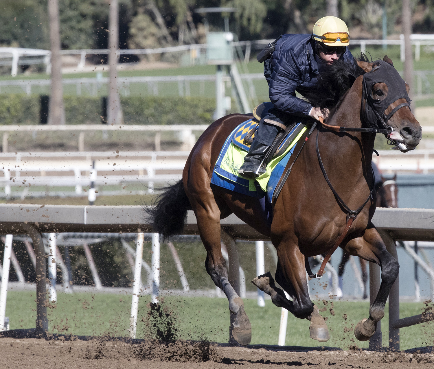 West Coast trains at Santa Anita in March 2018