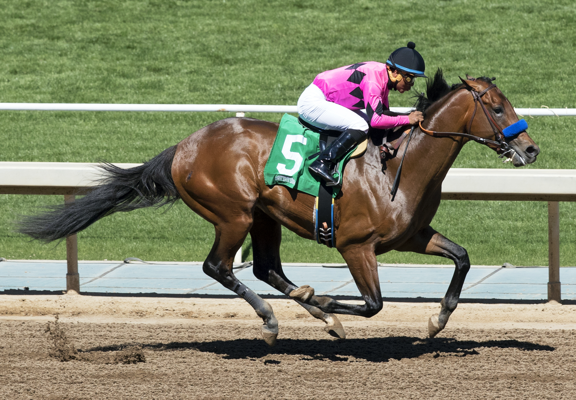 West Coast wins a maiden race