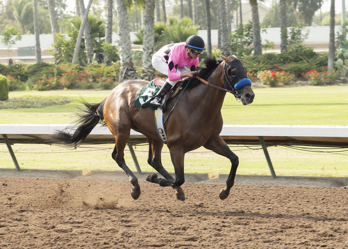 West Coast wins the 2017 Los Alamitos Derby