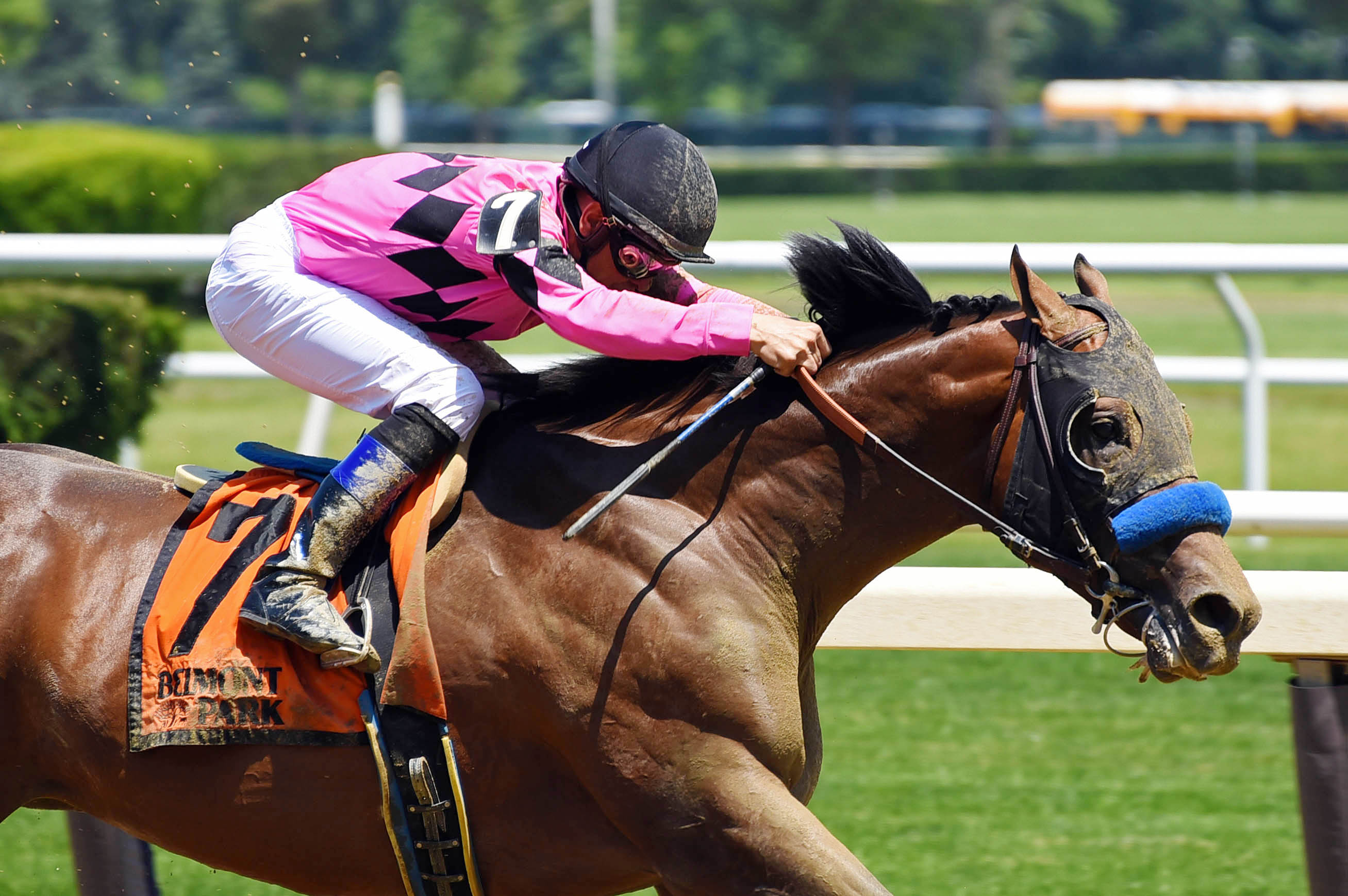 West Coast wins the Easy Goer Stakes
