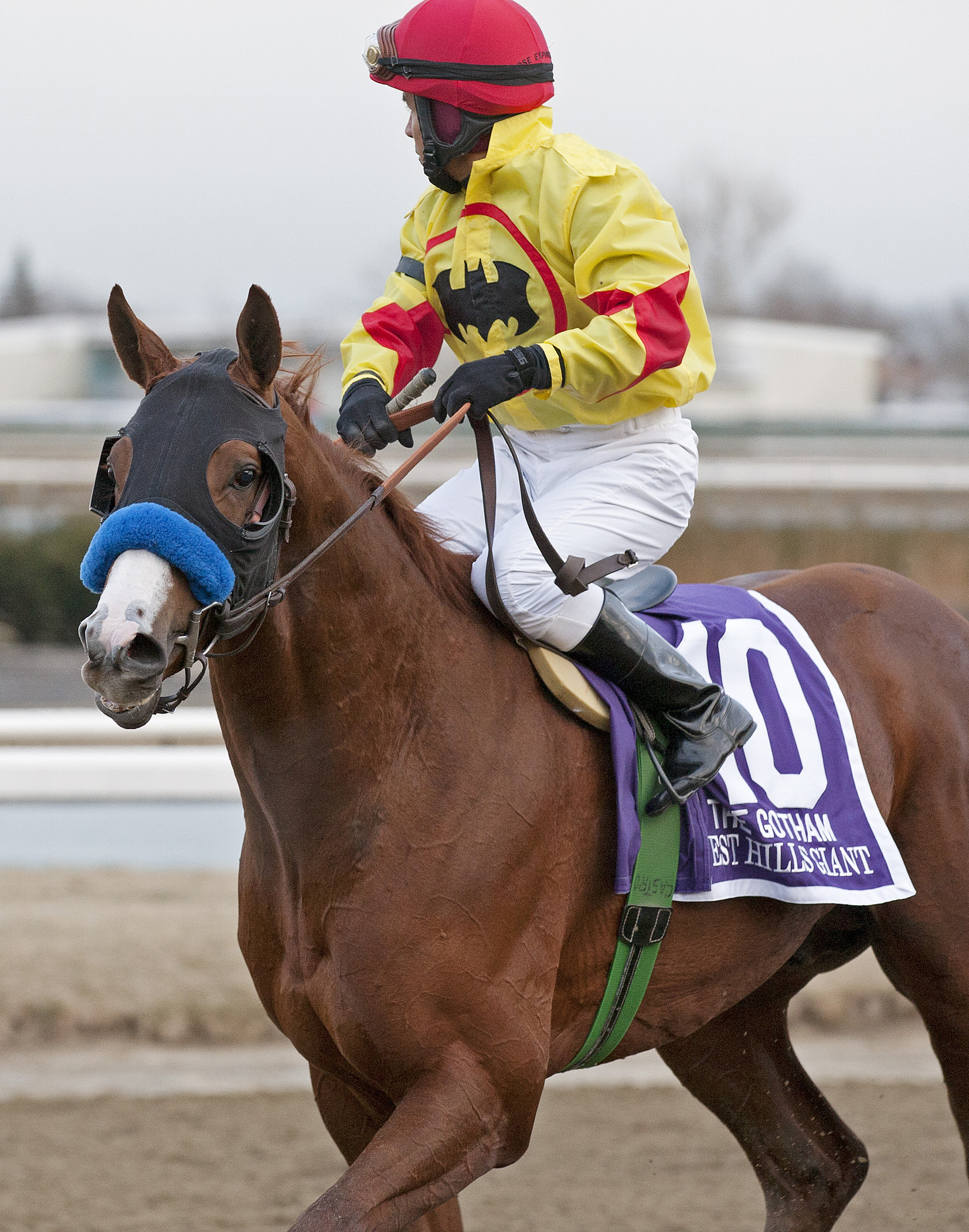 Aqueduct: Elnaawi works for Wood Memorial
