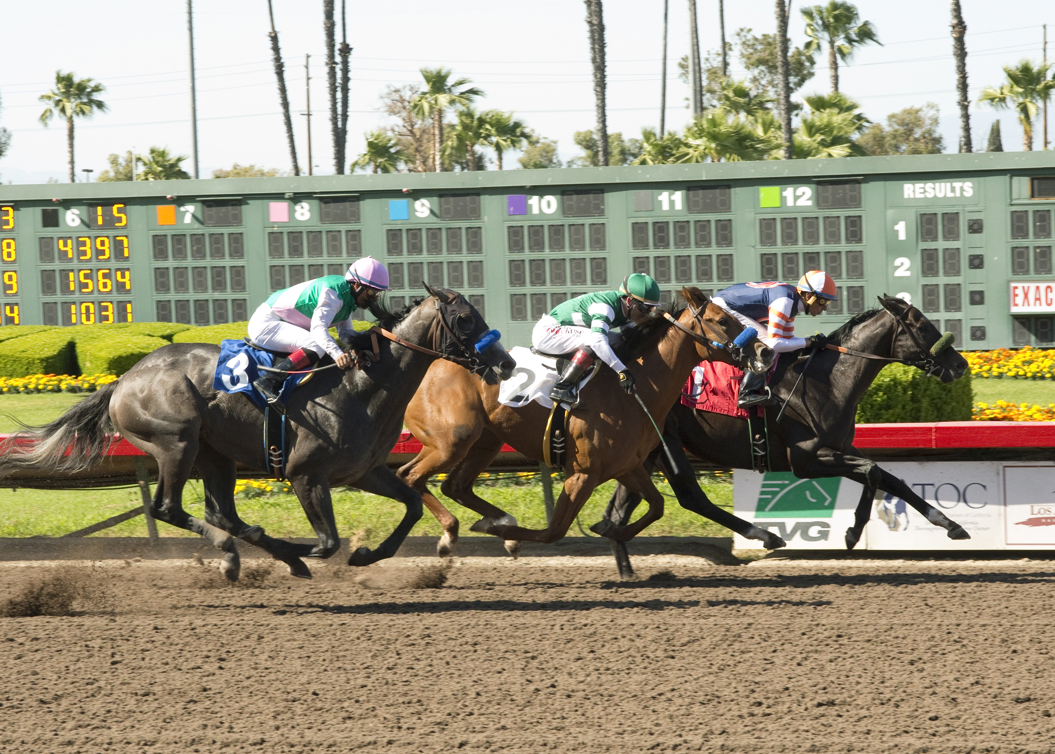 Westbrook wins a maiden race giving Arrogate his only defeat