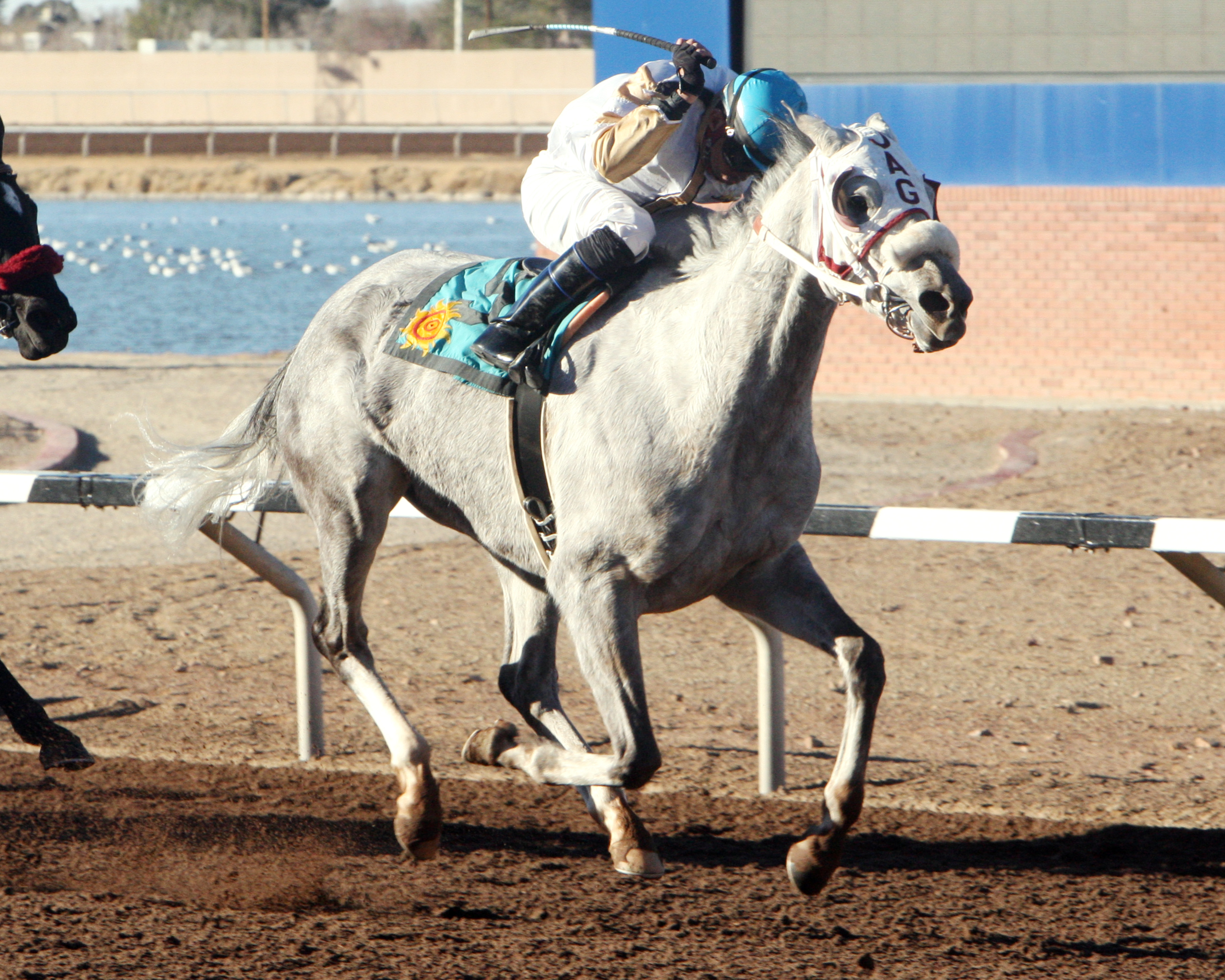 Western Way 2-15-2014