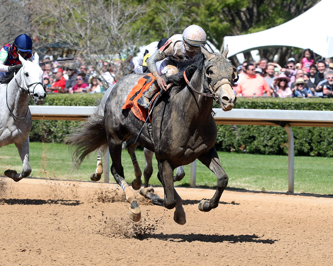 Western River wins an April 2 maiden race at Oaklawn Park
