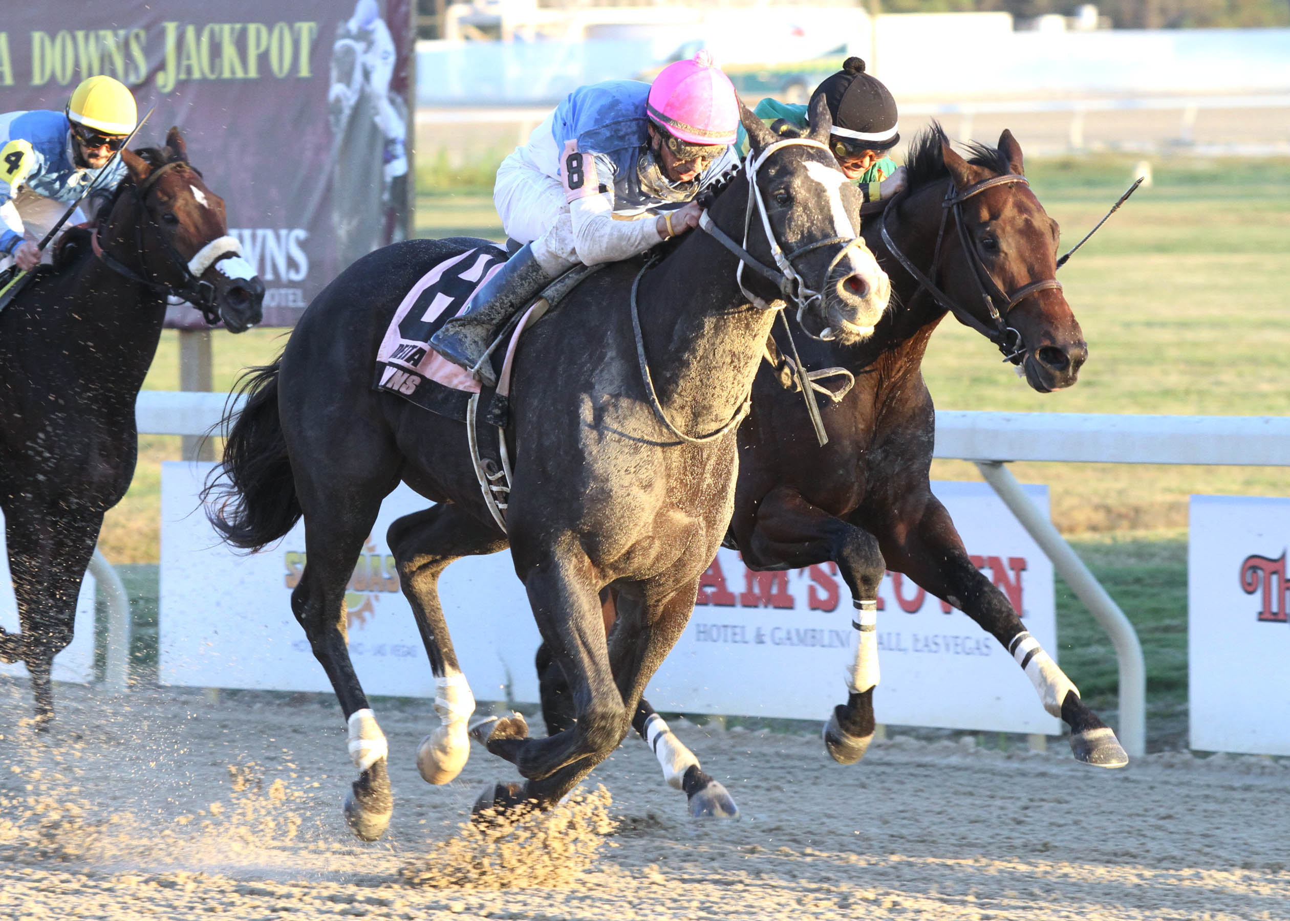 Byron King: Heitai can turn tables on Westernator in Louisiana Champions Day Juvenile