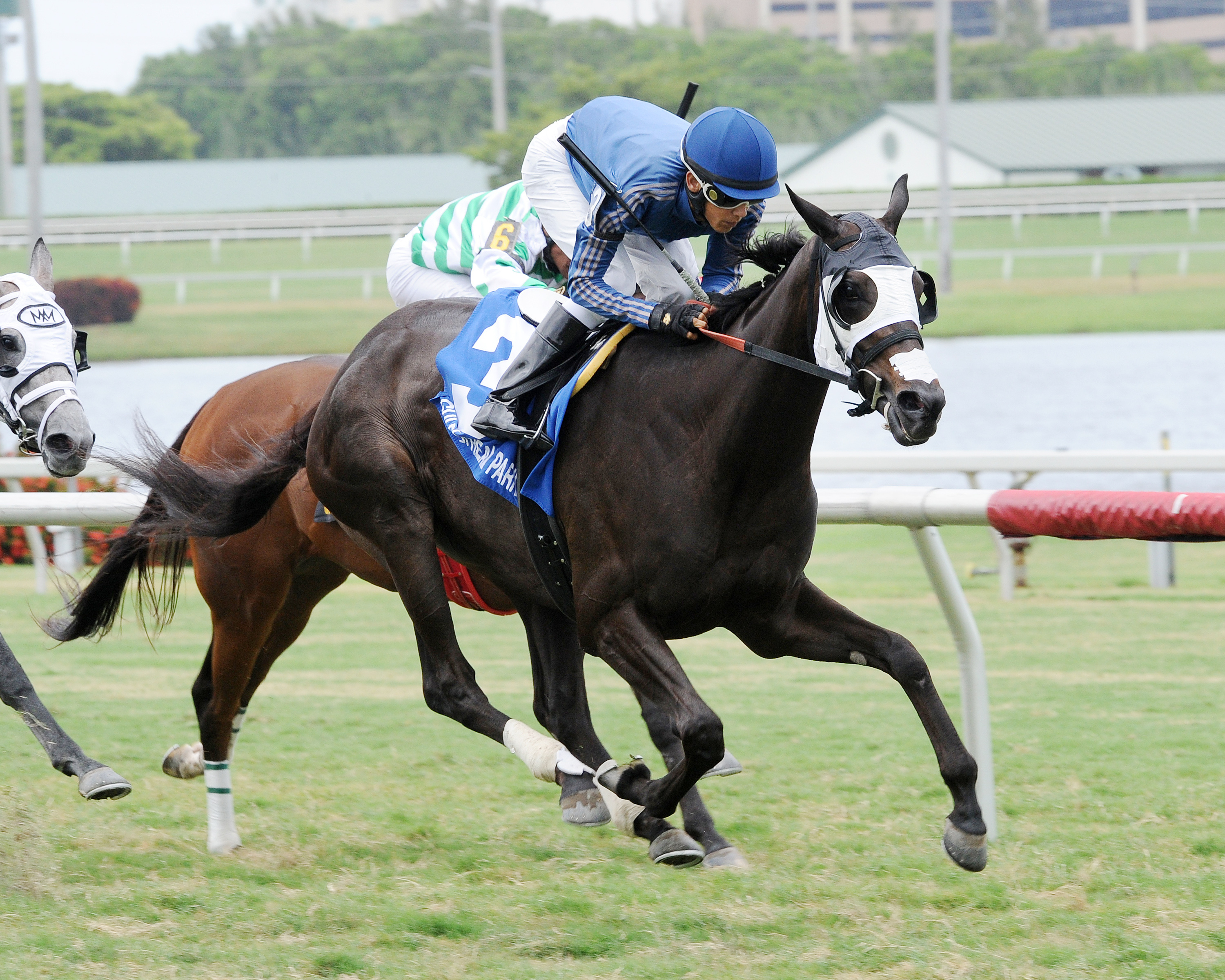 Westminister Road wins the Miss Patti Handicap