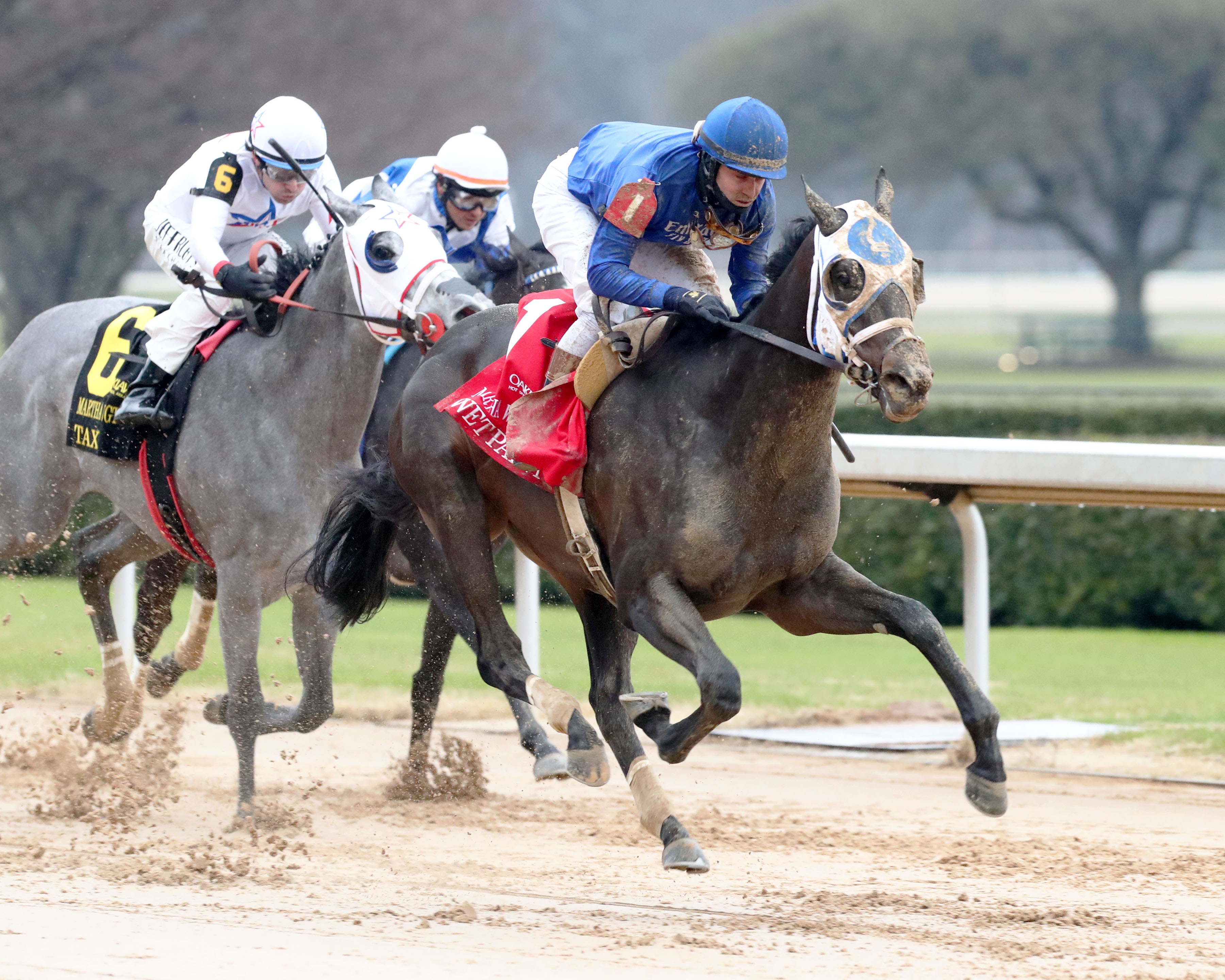 Wet Paint wins the Martha Washington at OP Jan 28 2023