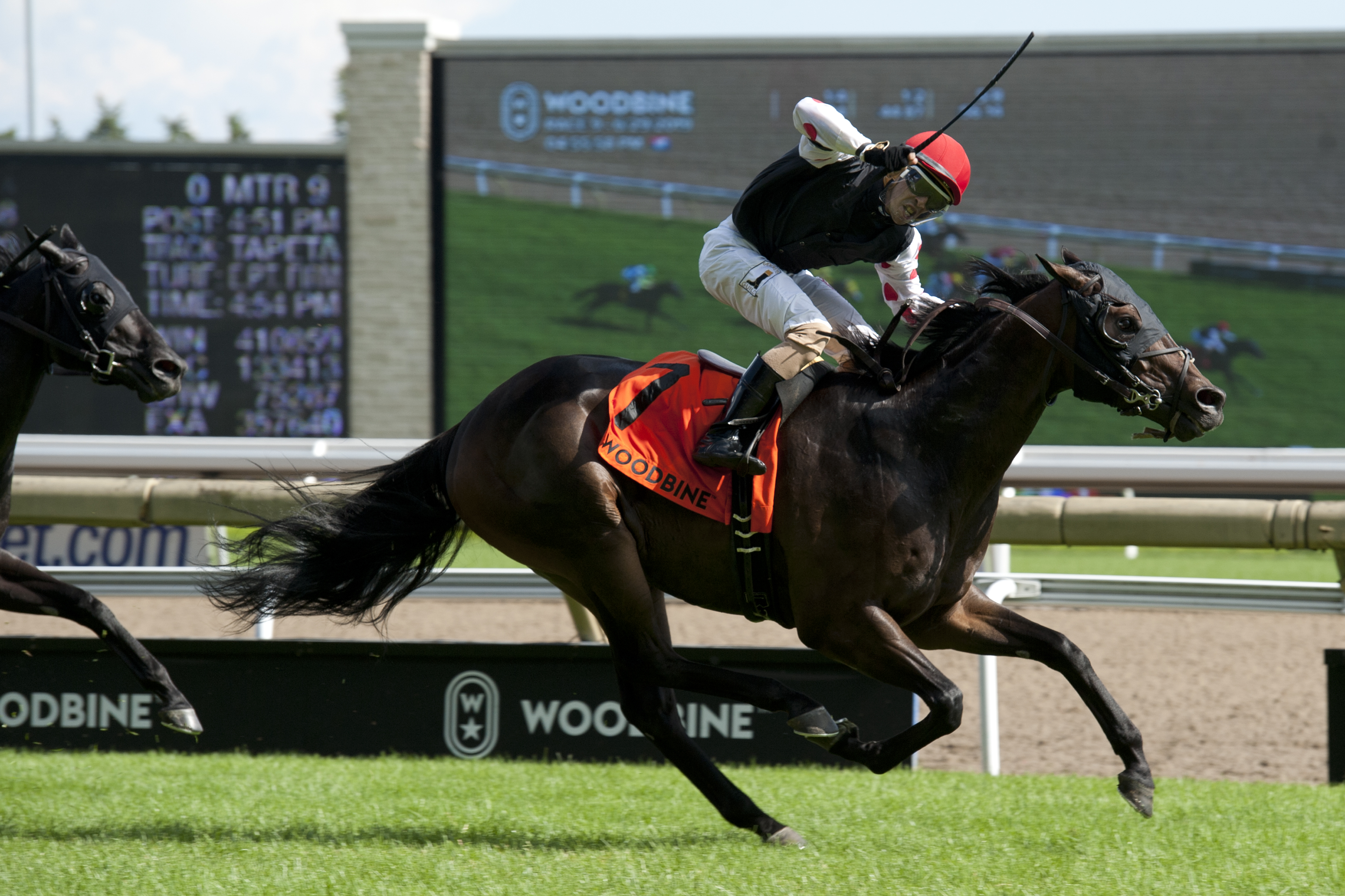 Wet Your Whistle wins the 2019 Highlander Stakes