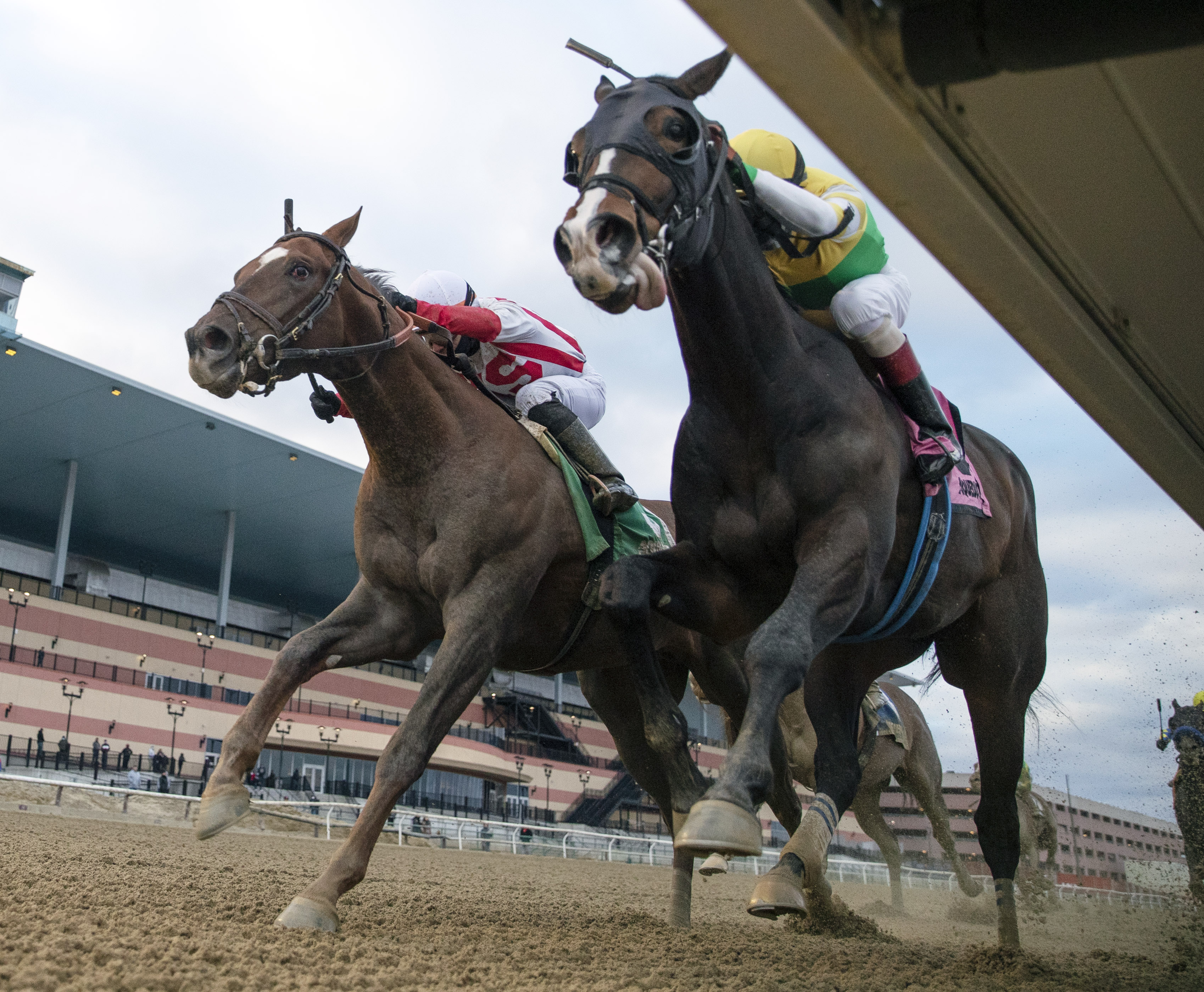 Weyburn wins Gotham Stakes 3-6-2021
