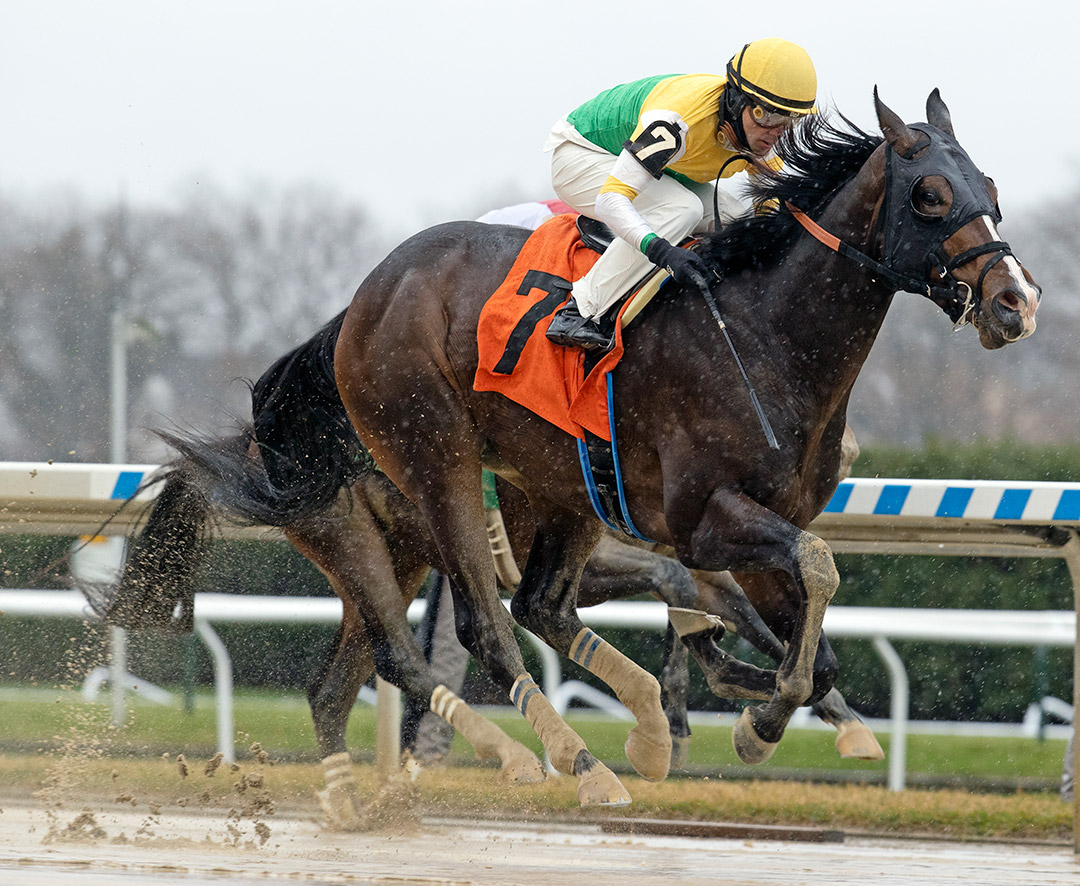 Weyburn wins a Dec. 5 maiden at Aqueduct