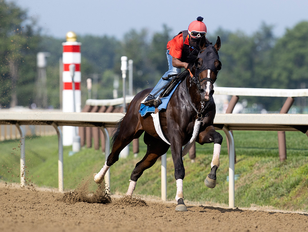 Weyburn trains at Saratoga Race Course on July 16