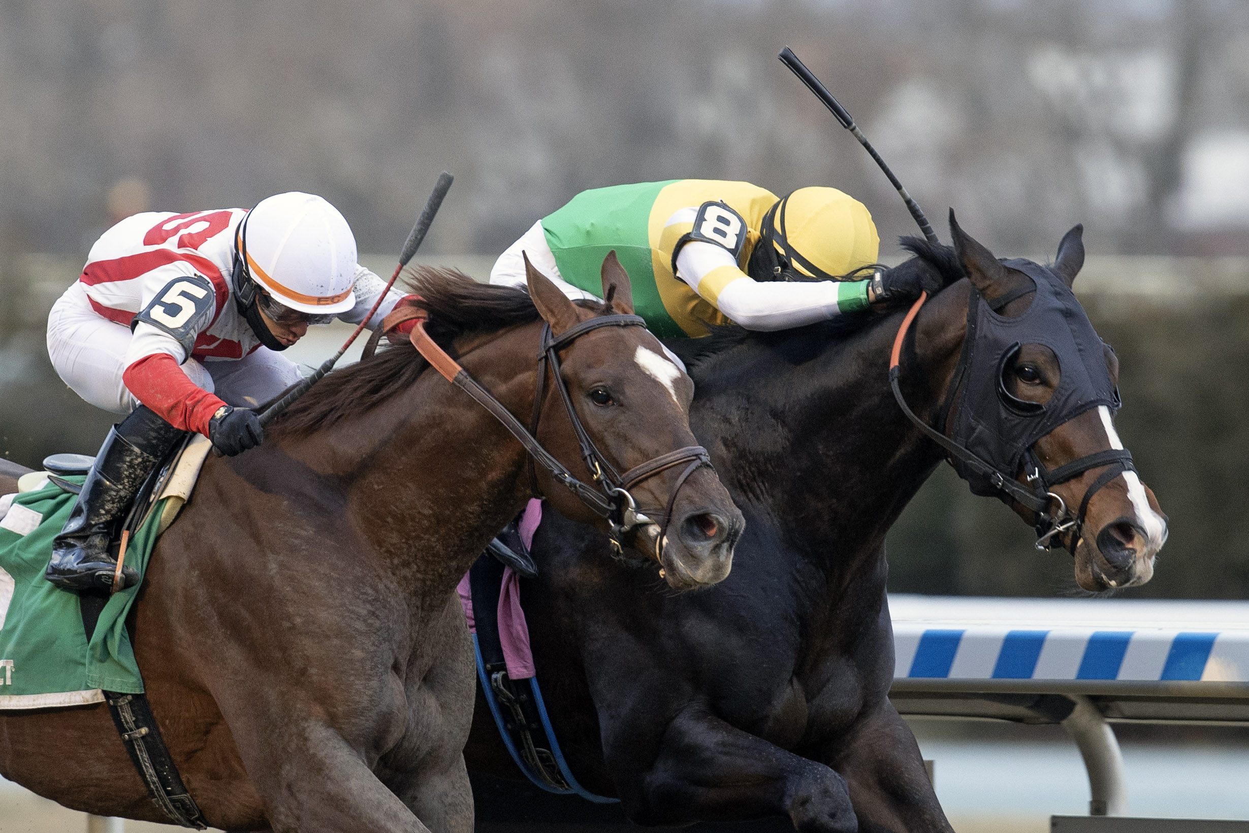 Weyburn wins the Gotham Stakes 3-6-2021