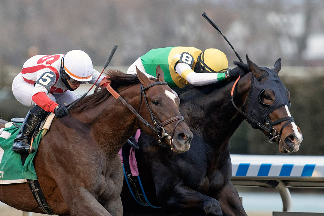 Weyburn (right) wins the 2021 Gotham Stakes at Aqueduct