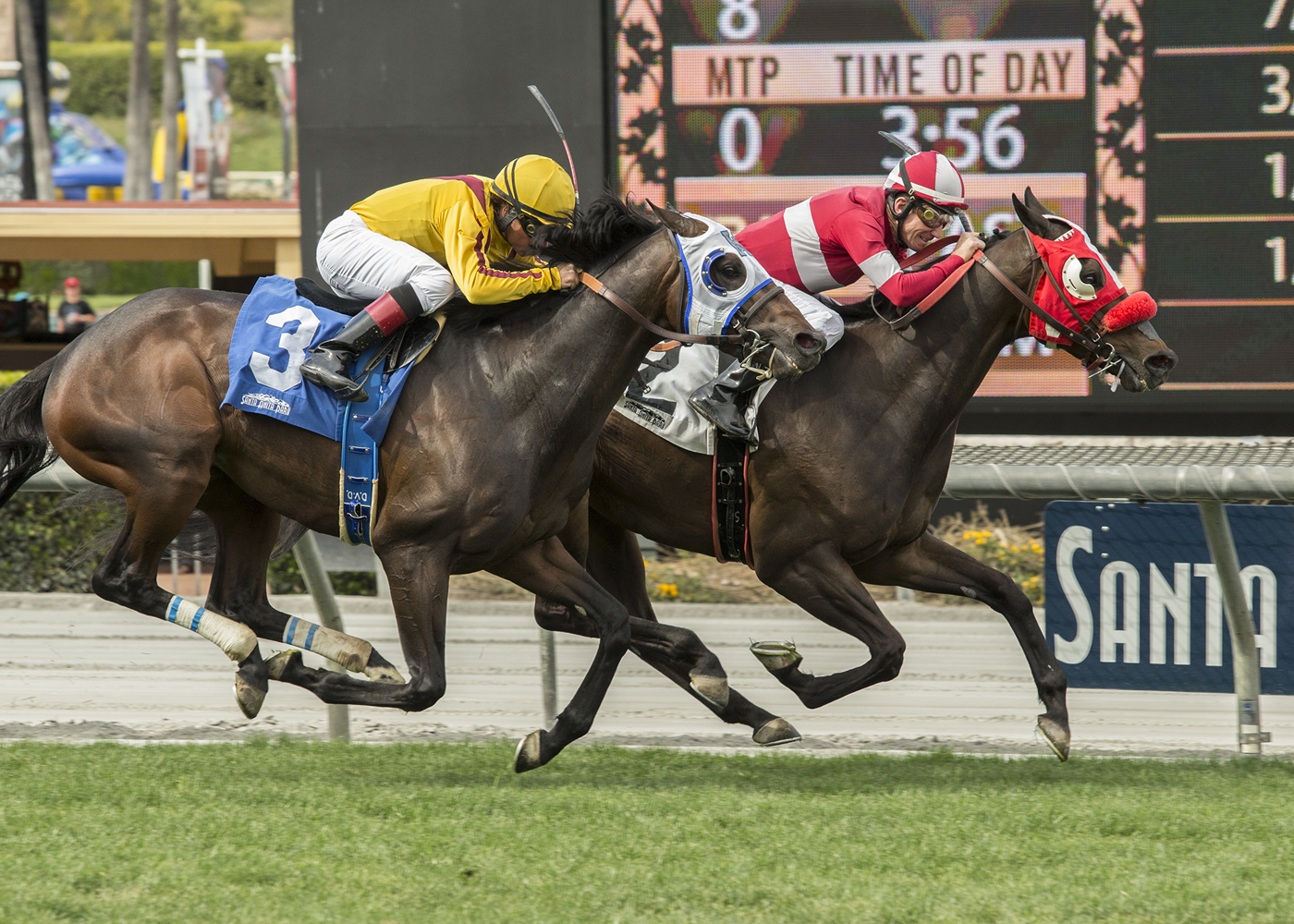 What a View (inside) wins the 2018 American Stakes