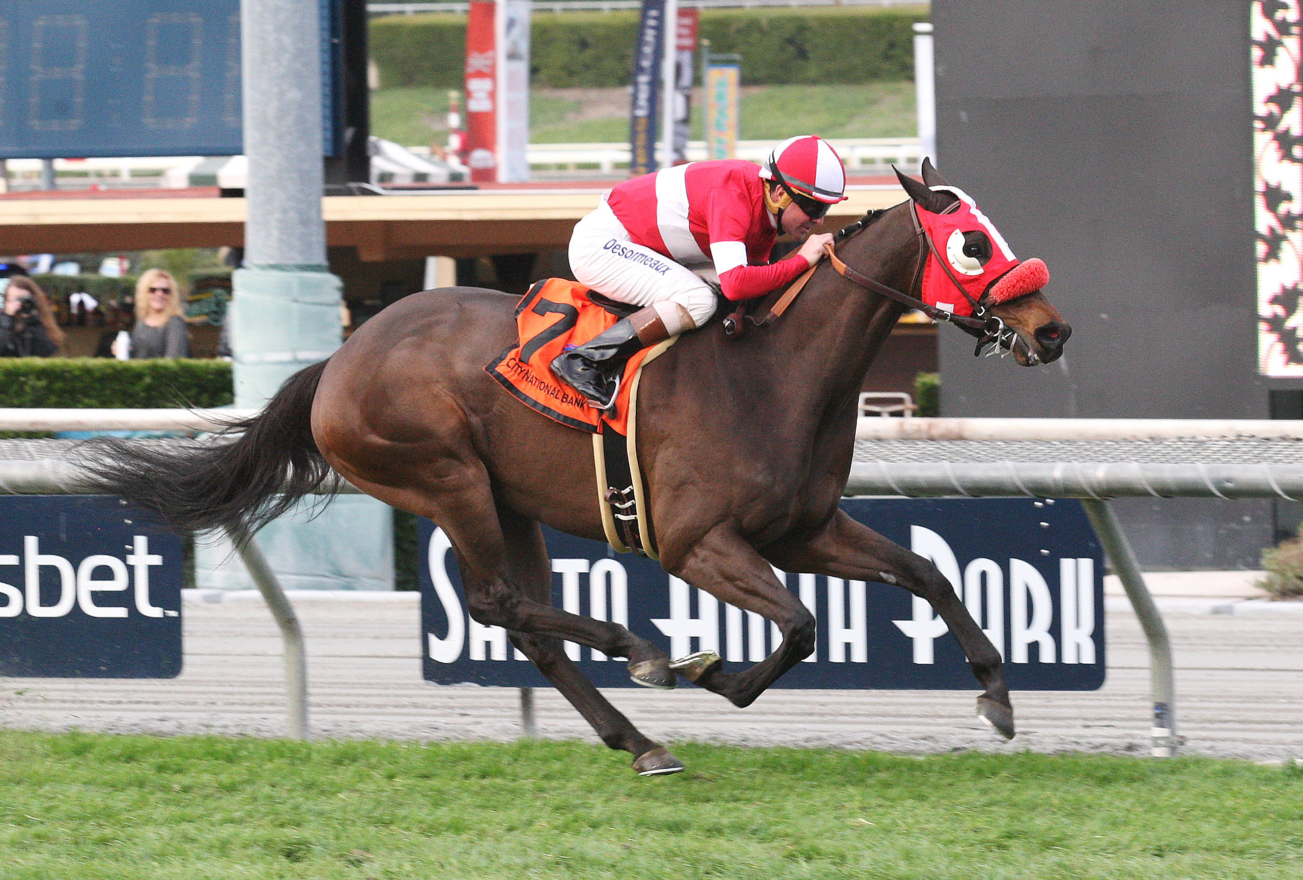 What a View wins the California Cup Turf Classic