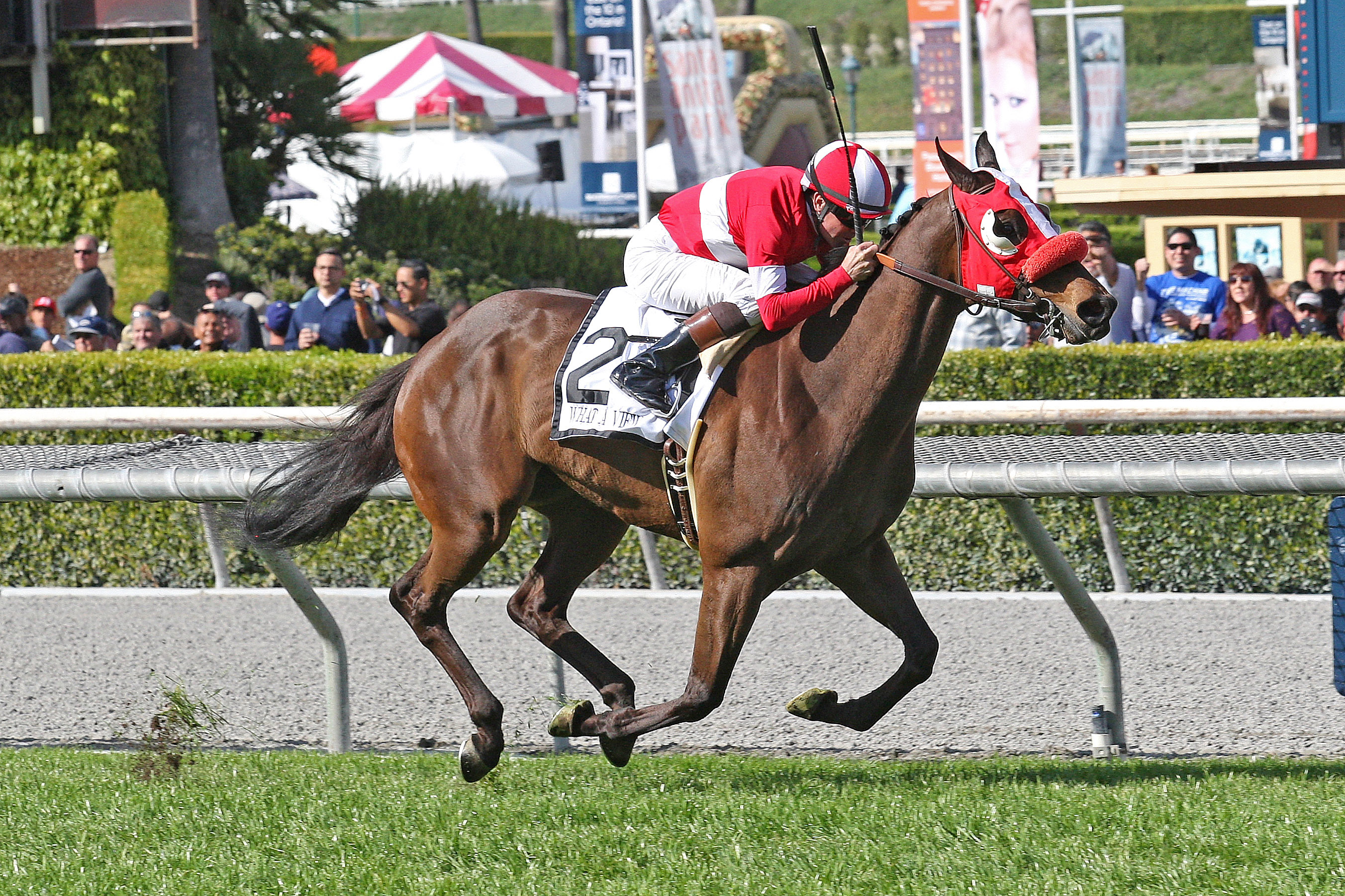 What a View wins the Frank E. Kilroe Mile