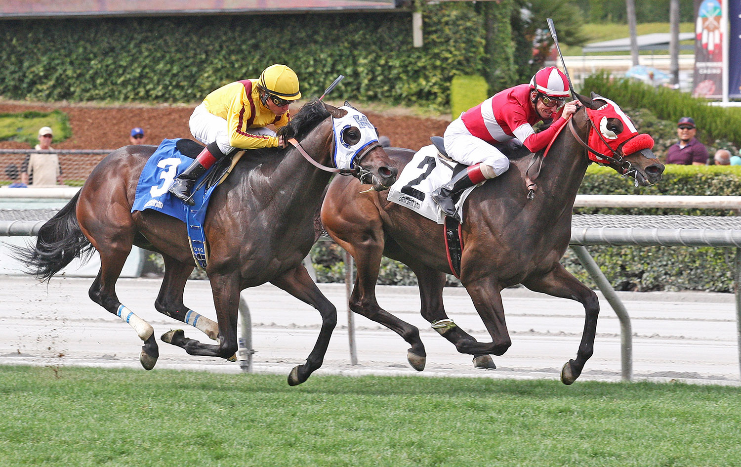 What a View wins the 2018 American Stakes
