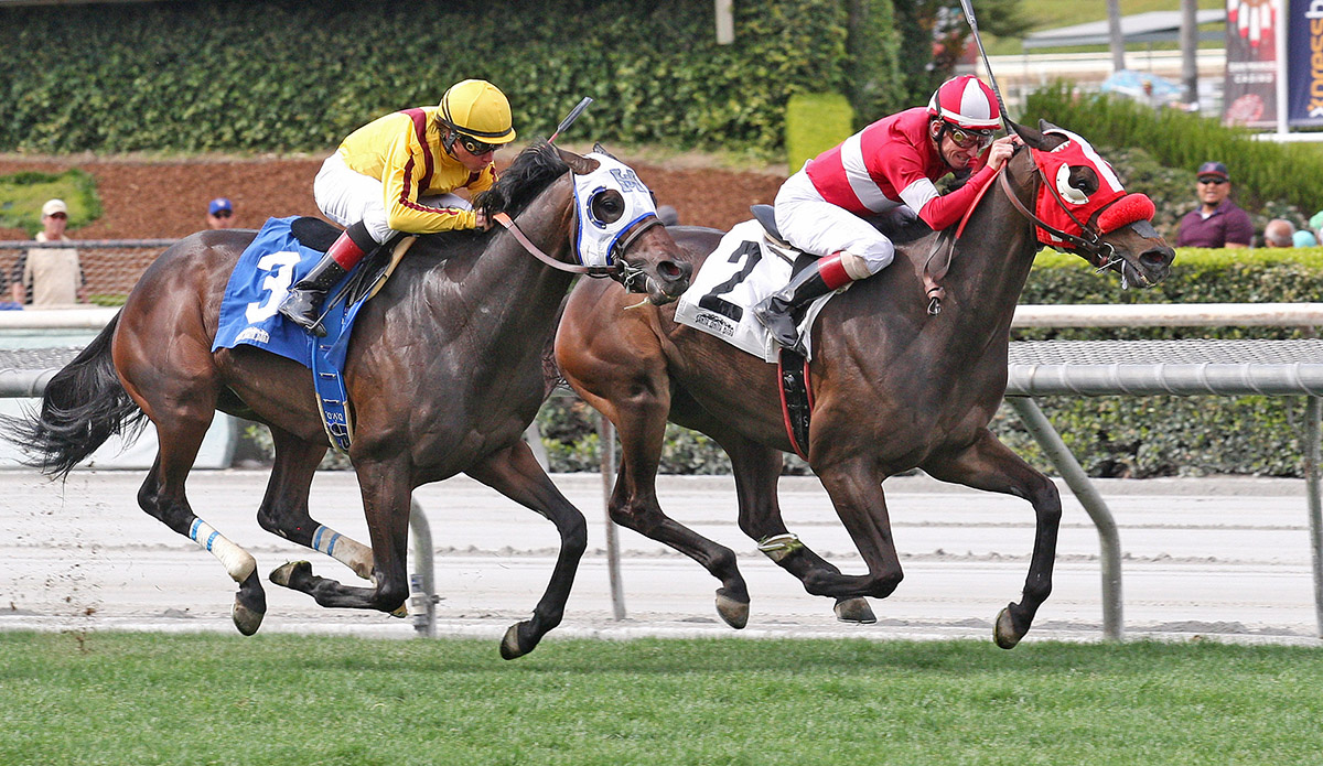 What a View wins the 2018 American Stakes