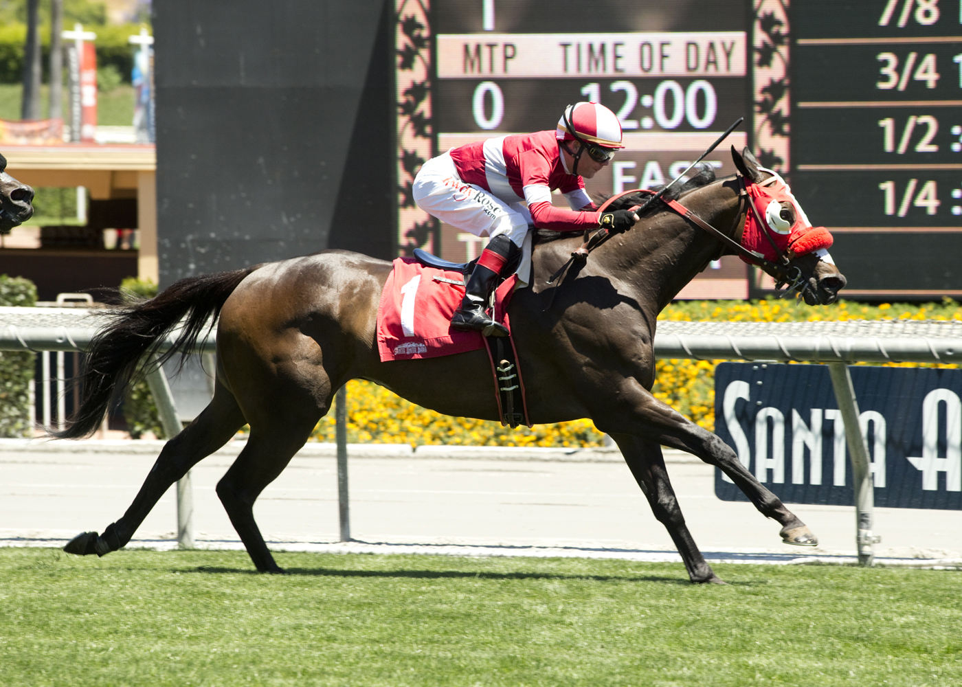What a View wins the Crystal Water Stakes
