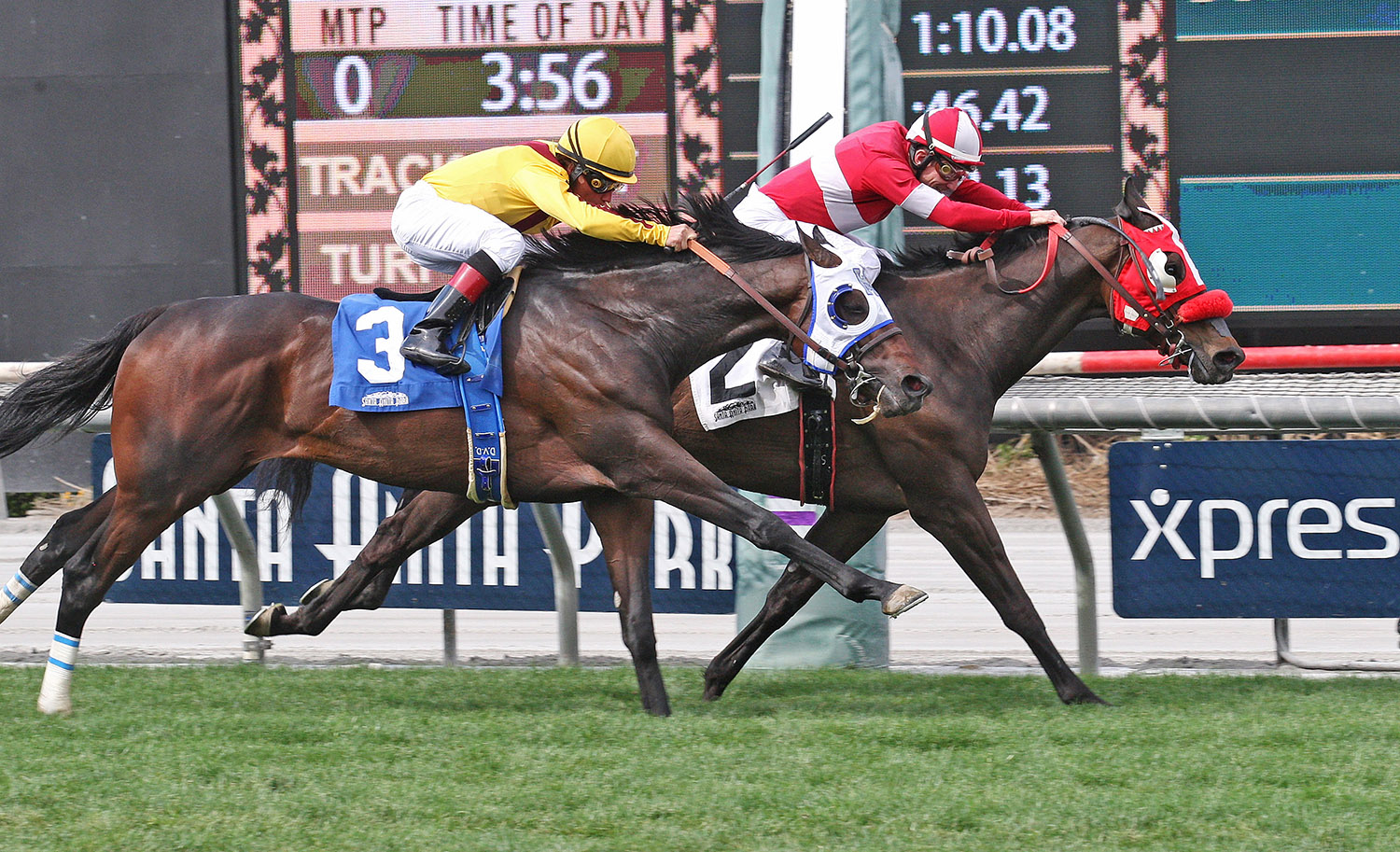 What a View wins the 2018 American Stakes
