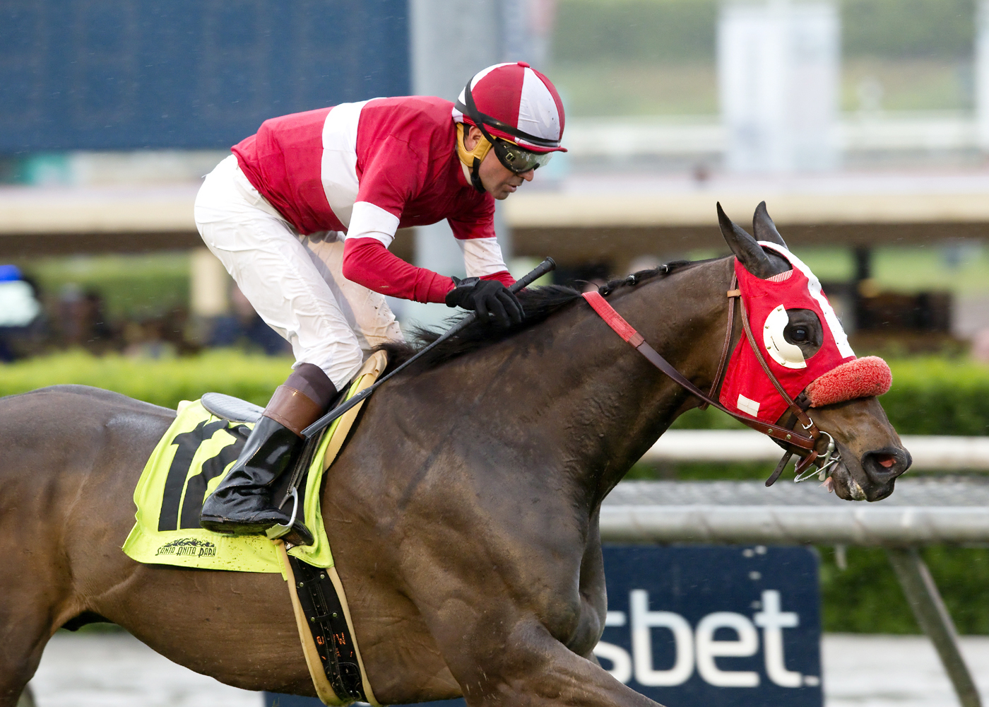 What a View wins the Thunder Road Stakes