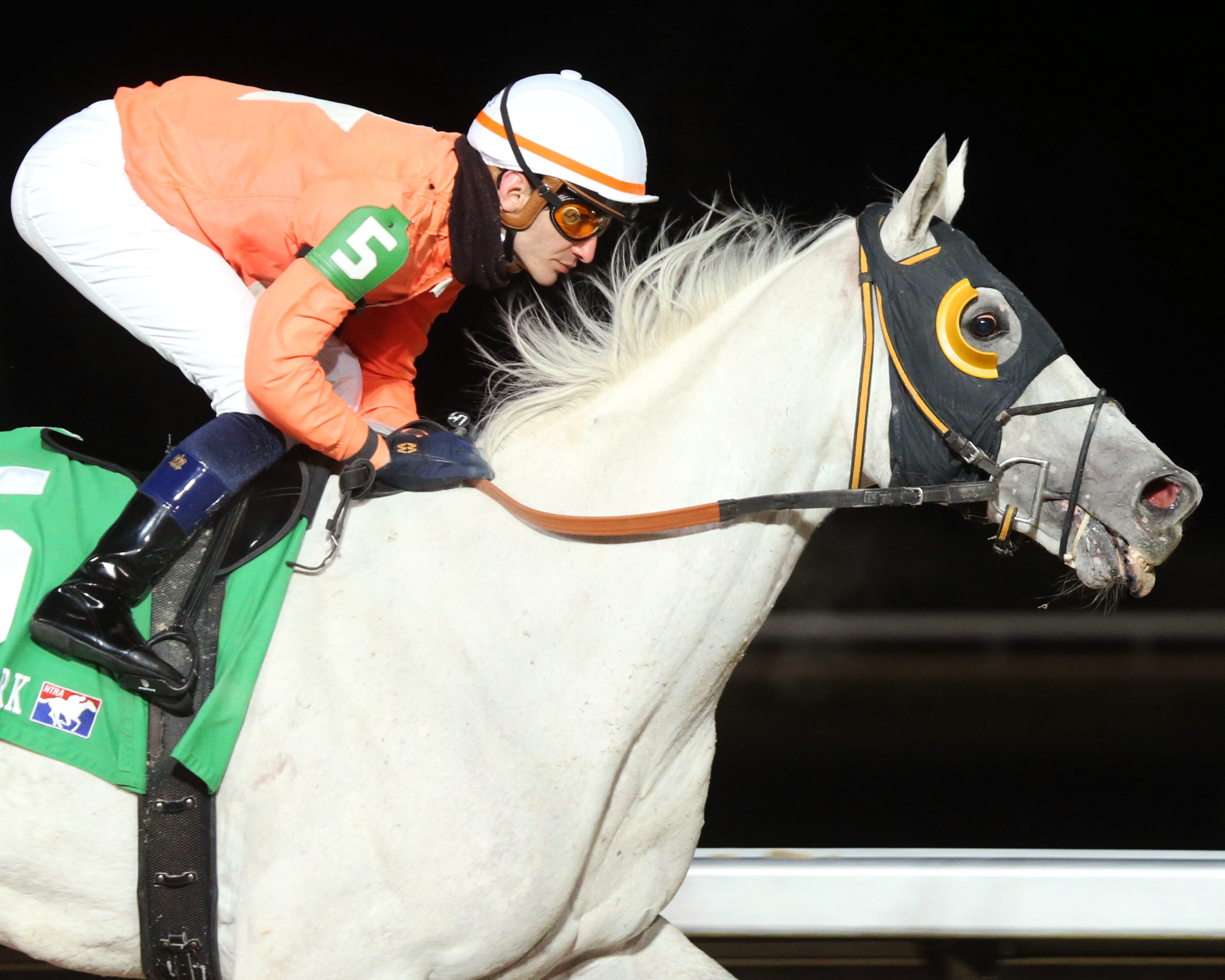What's Up Dude.Turfway Park.Feb 26 2022.CO.jpg