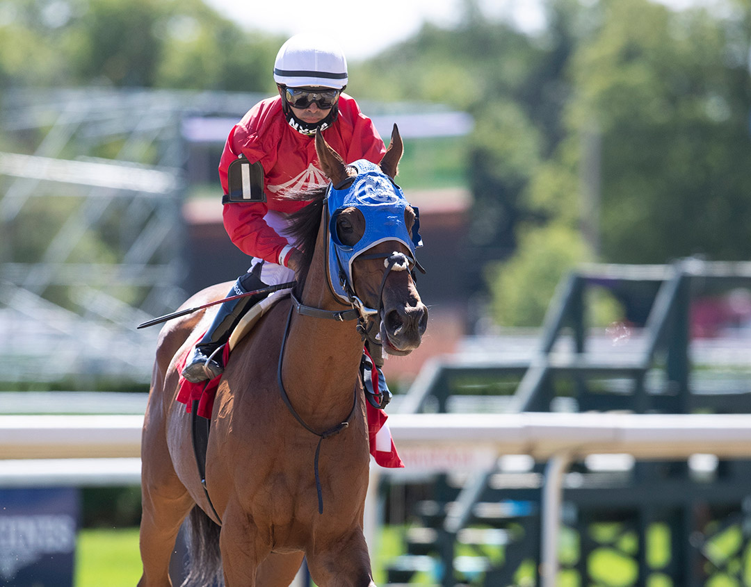 Whatdoesasharksay at Saratoga Race Course in August 2020