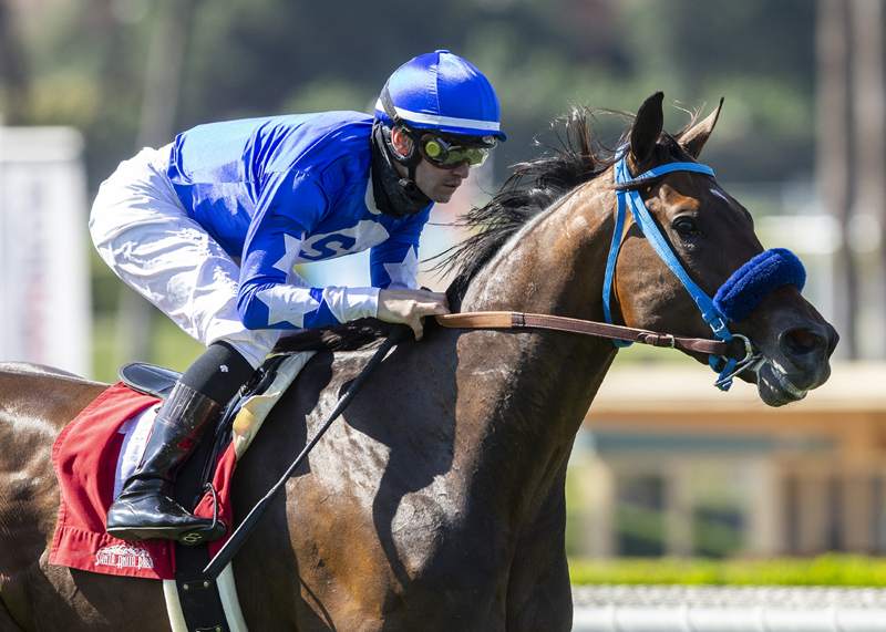 Whatmakessammyrun wins Desert Code Stakes 6-6-2021