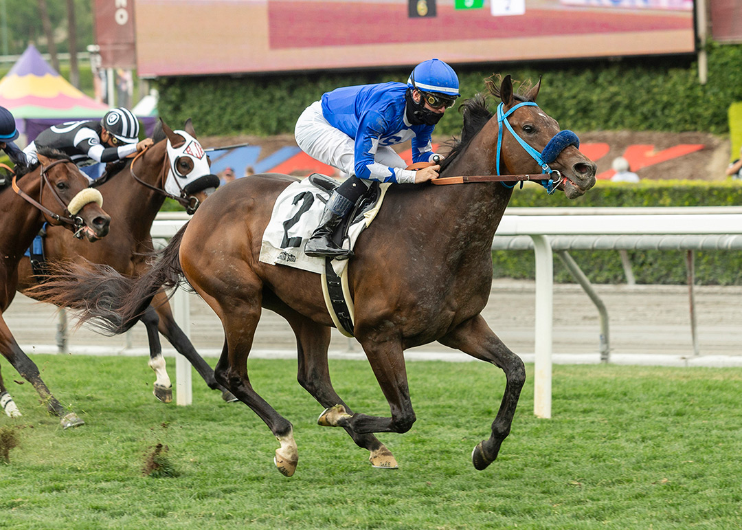 Whatmakessammyrun wins a May 2 allowance at Santa Anita