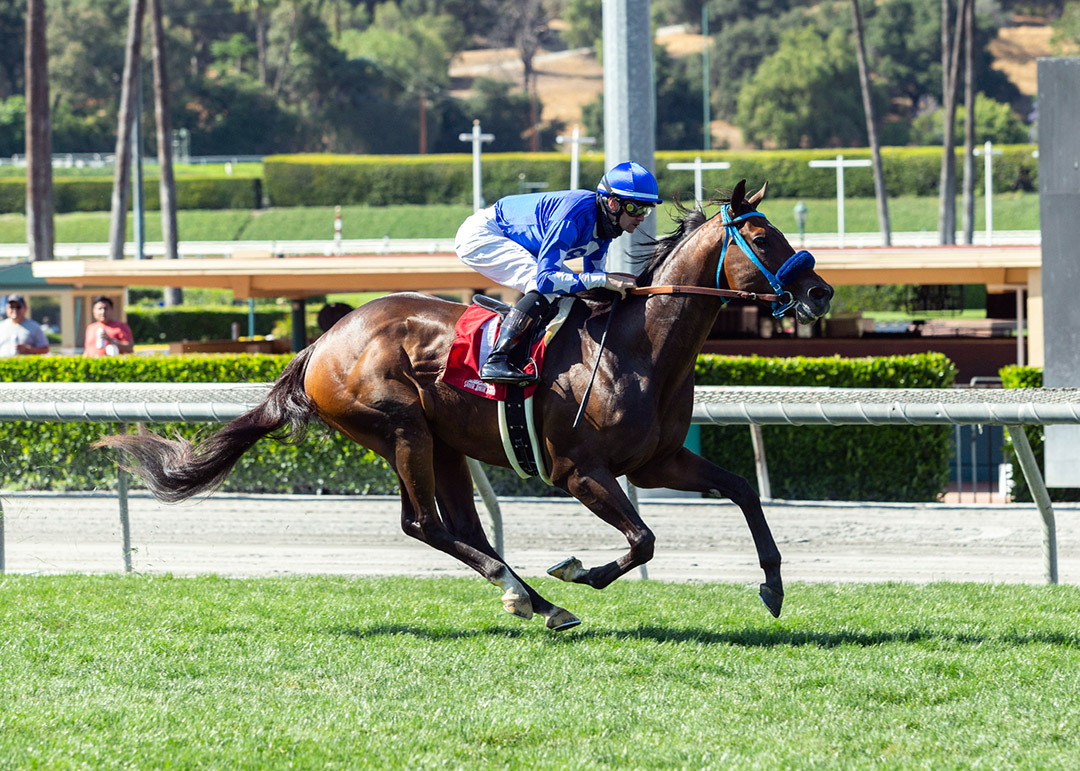 Whatmakessammyrun wins the 2021 Desert Code Stakes at Santa Anita