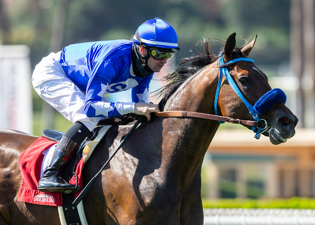 Whatmakessammyrun wins the 2021 Desert Code Stakes at Santa Anita