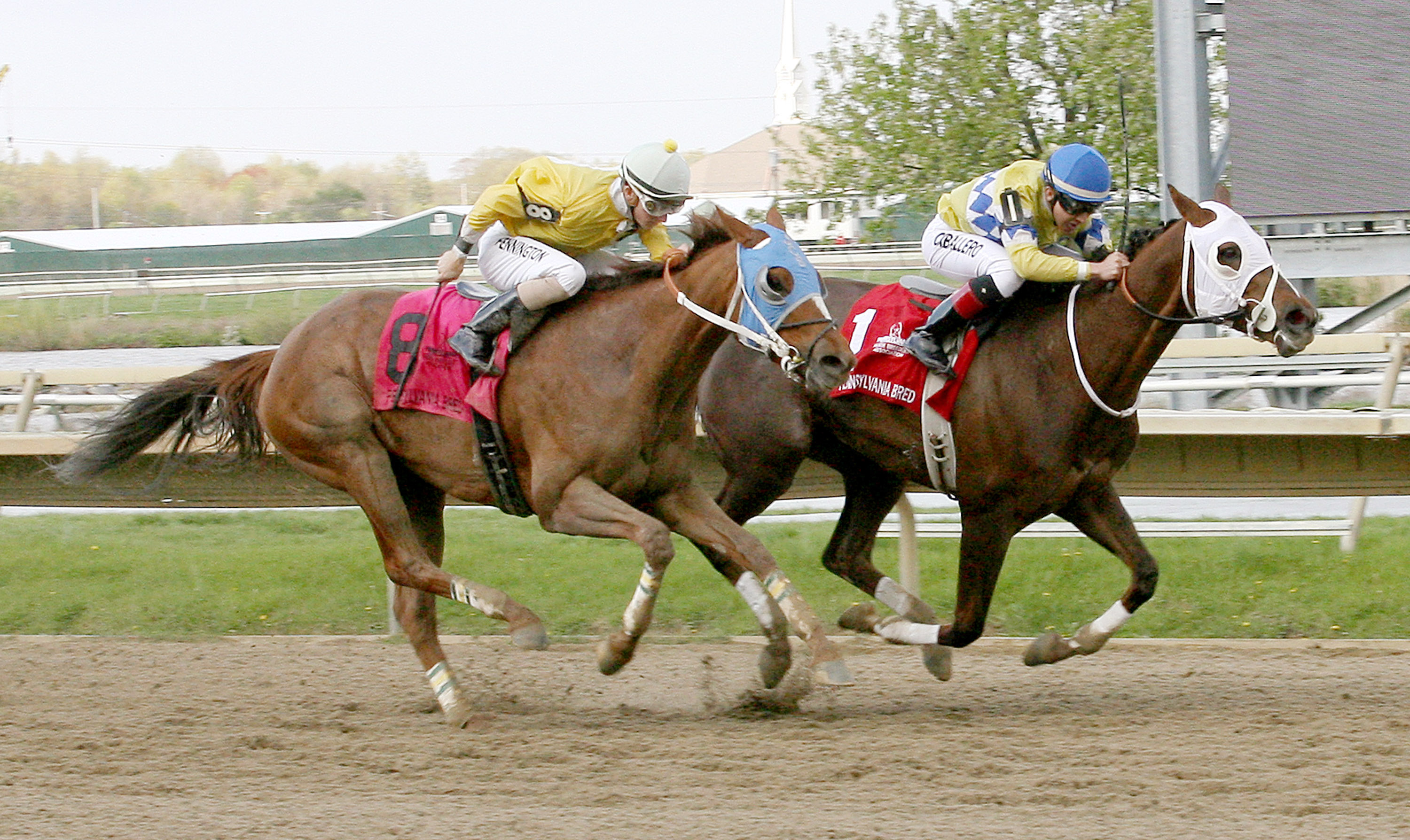Where's Rosie B wins the Foxy J G Stakes
