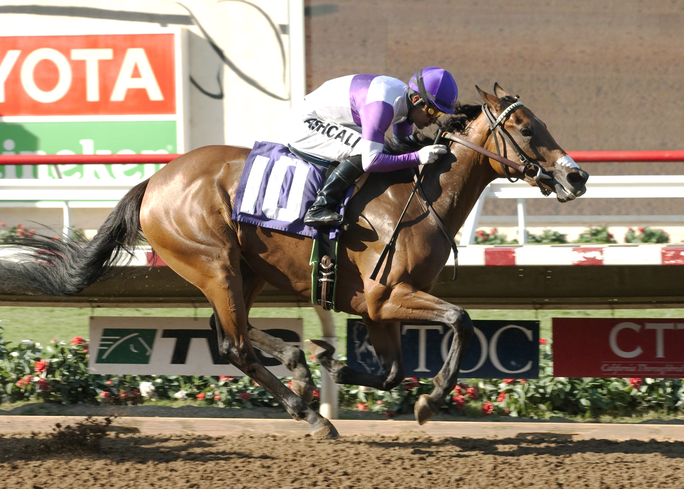 Where's the D wins a maiden race