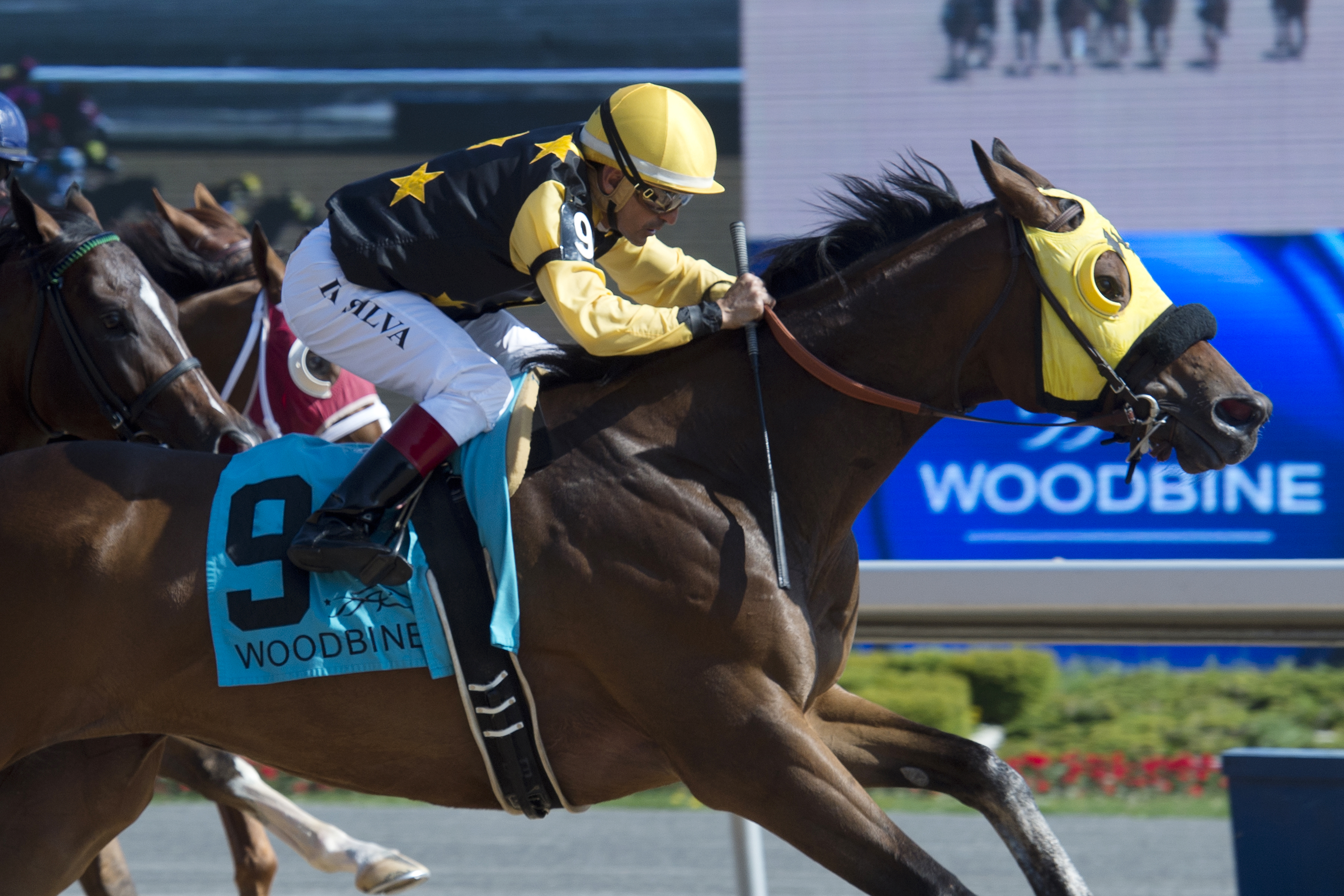 Where's the Widget wins the Steady Growth Stakes
