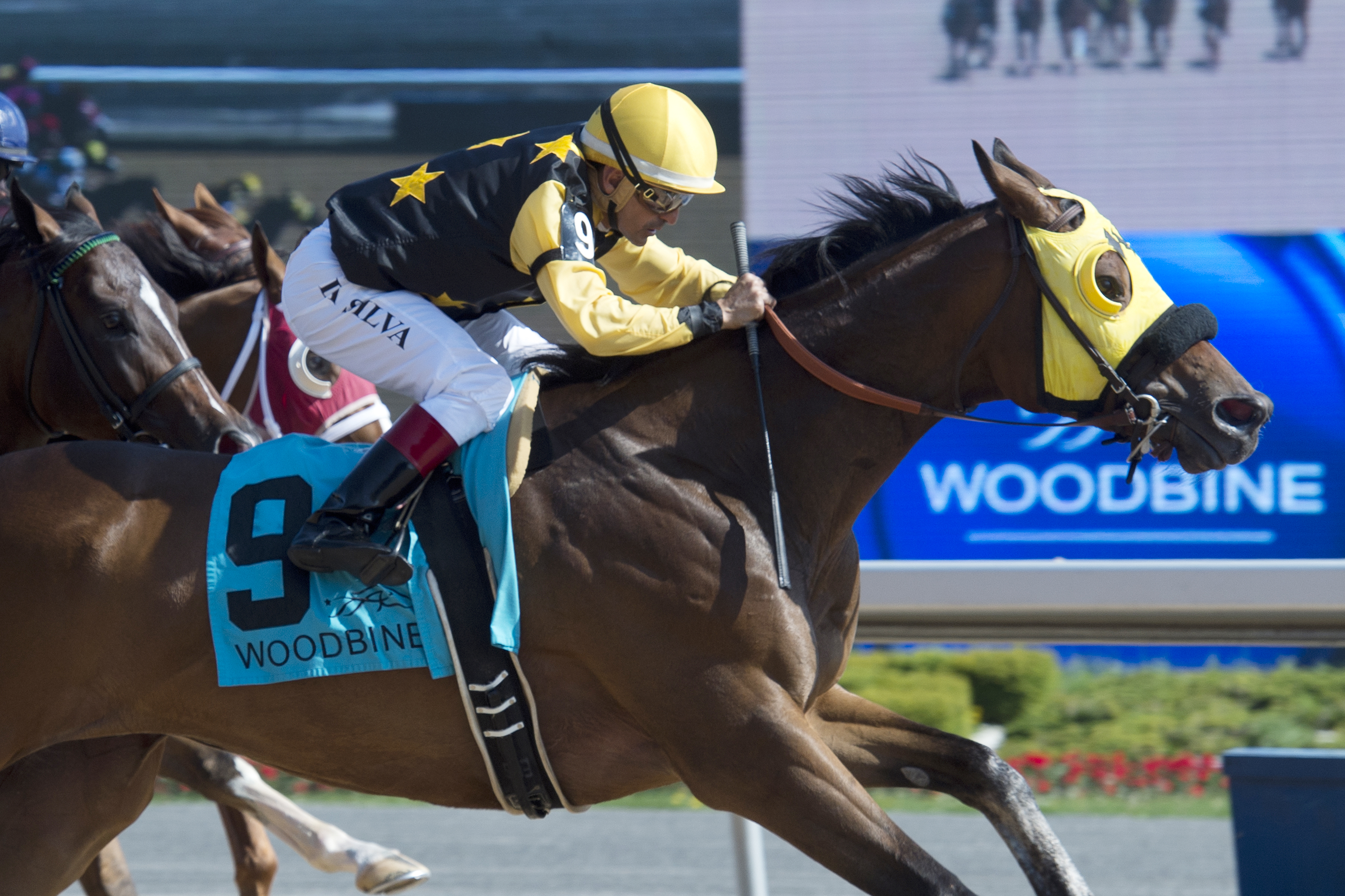Where's the Widget wins the 2016 Steady Growth Stakes