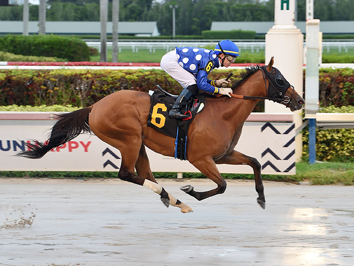 Where Paradise Lay wins a May 10 allowance at Gulfstream Park