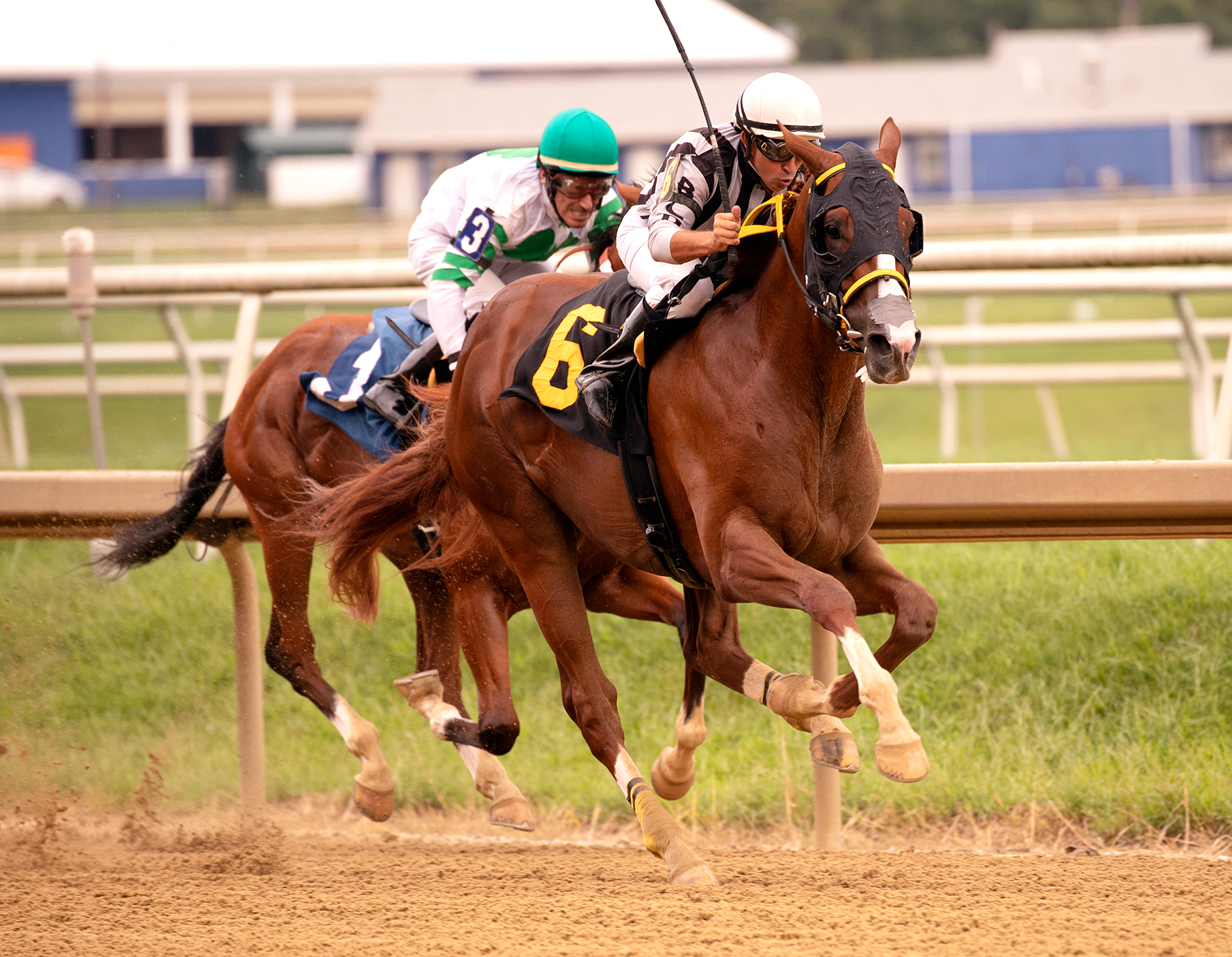 Whereshetoldmetogo wins 2018 Star de Naskra