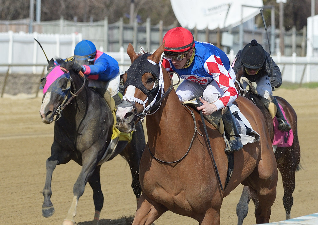 Whereshetoldmetogo wins the 2021 Not For Love Stakes at Laurel Park